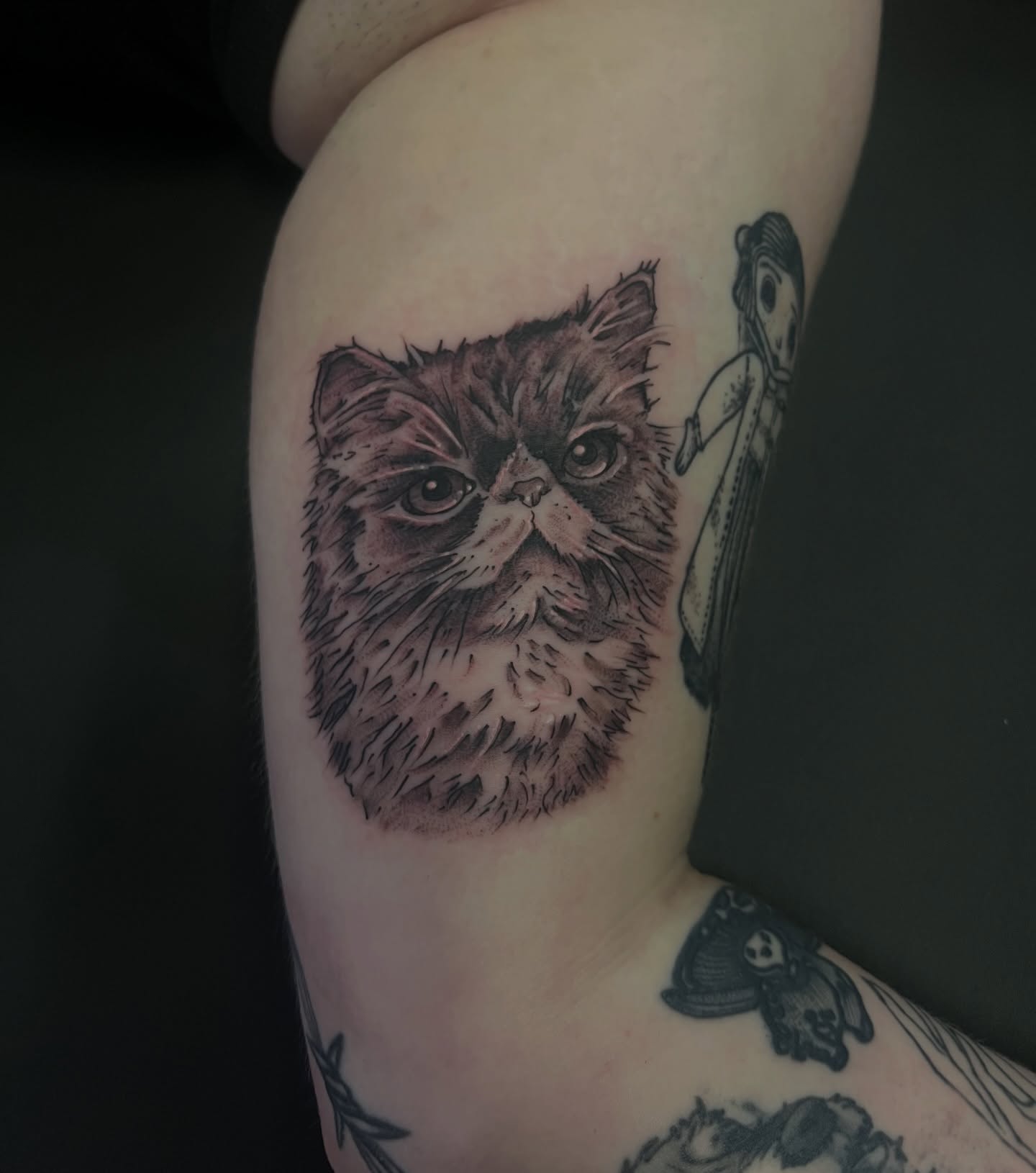 Cat realism tattoo on the upper arm by Fizzy Jizzles, Worcester, England