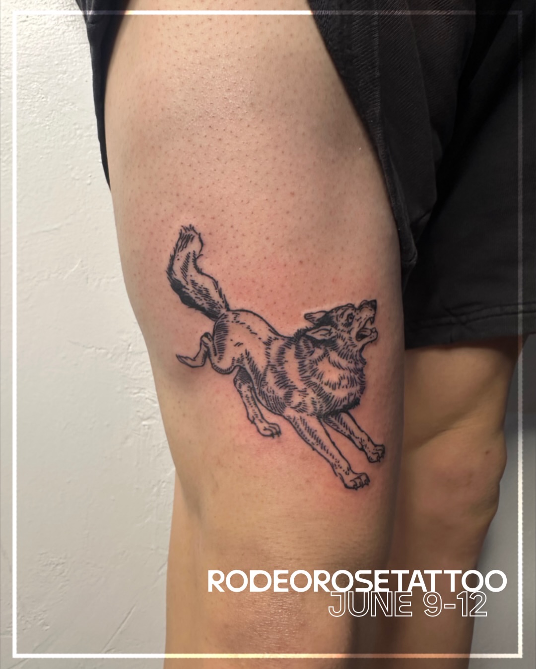 Wolf black and grey tattoo on the thigh by 𝓡𝓸𝓼𝓮 𝓗𝓪𝔂𝓮𝓼
