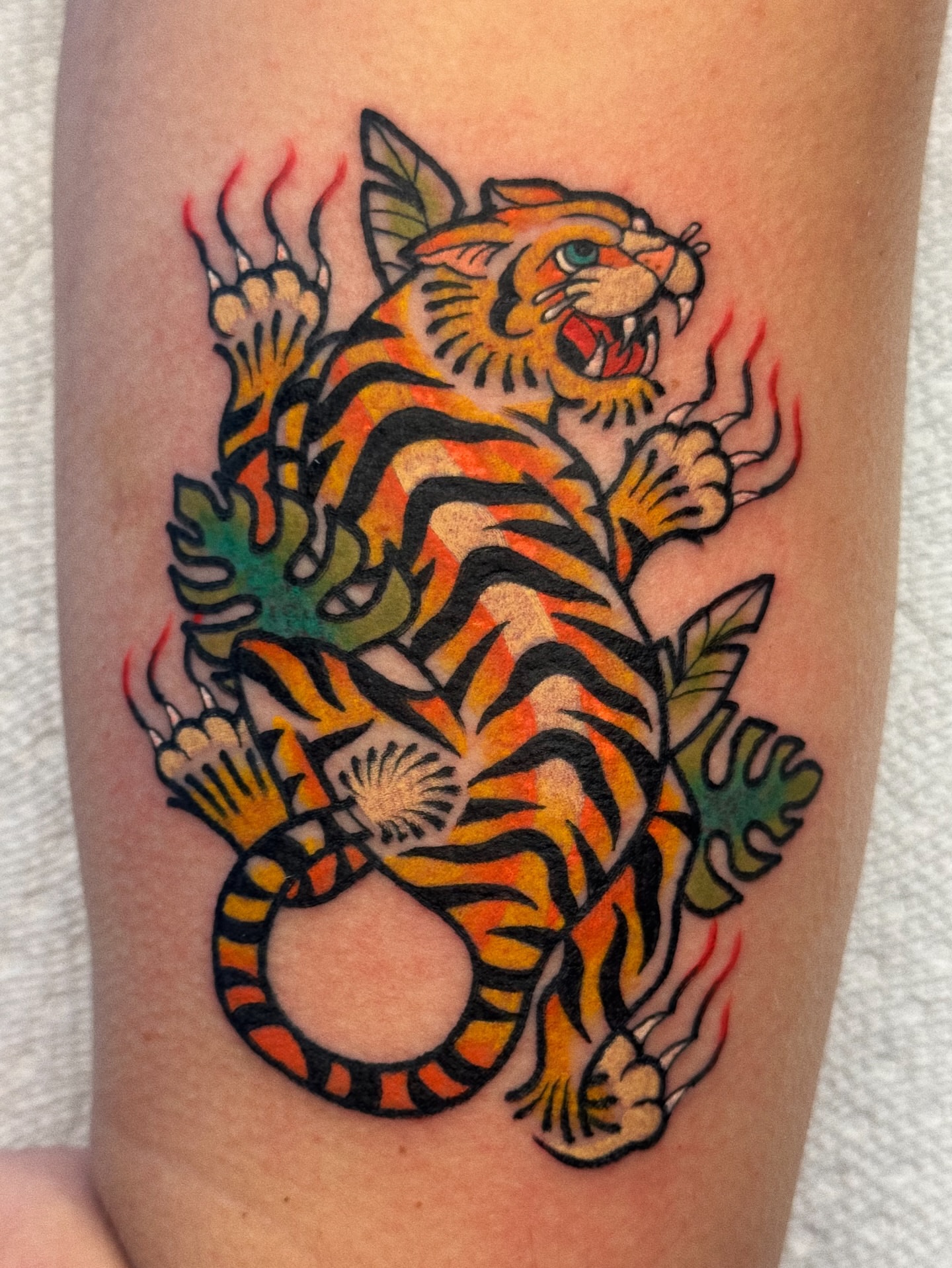Tiger American traditional tattoo on the forearm by 𝕷𝖆𝖚𝖗 𝕷𝖆𝖚𝖗