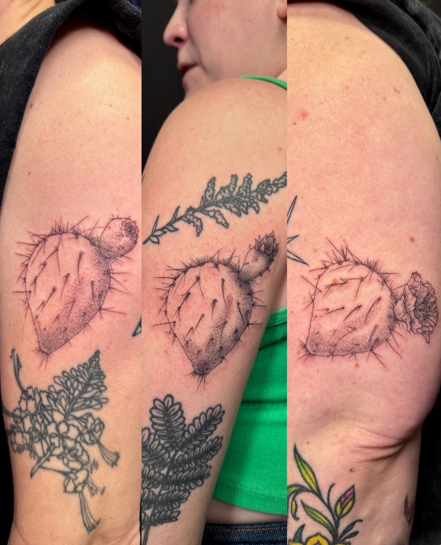 Prickly pear cactus black and grey tattoo on the upper arm by aria, Austin, Texas