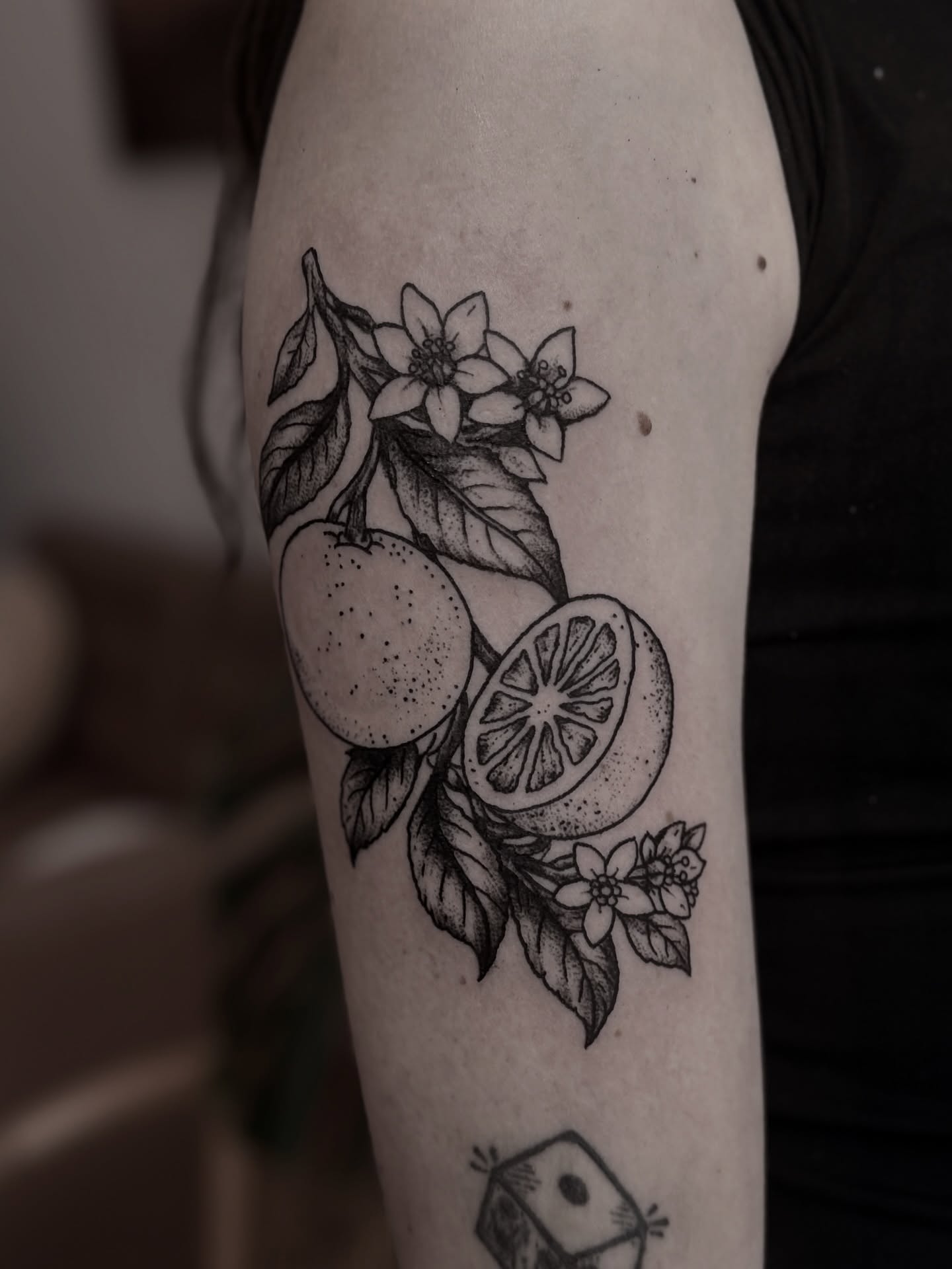 Citrus fruit and flowers dotwork tattoo on the forearm by Tattoo Artist, Philadelphia, Pennsylvania