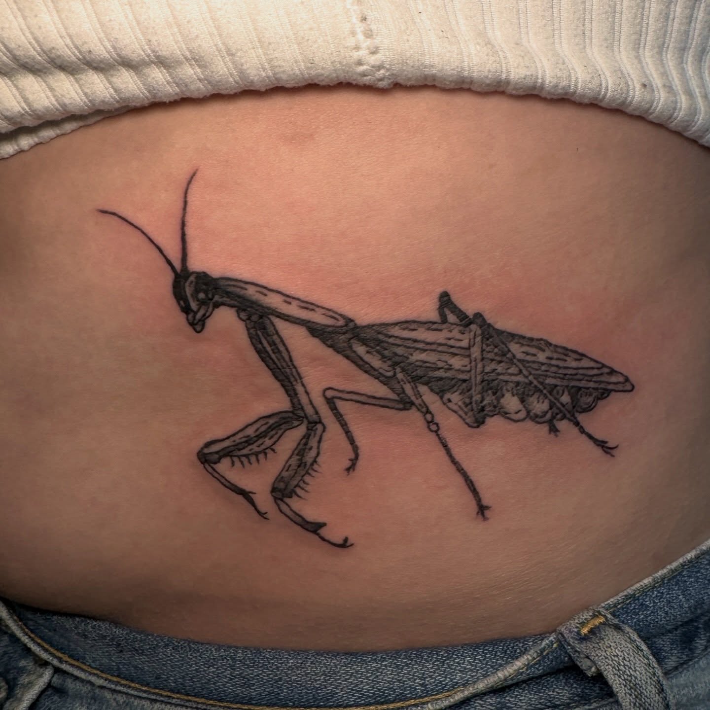 Praying mantis black and grey tattoo on the torso by Seth Christianson