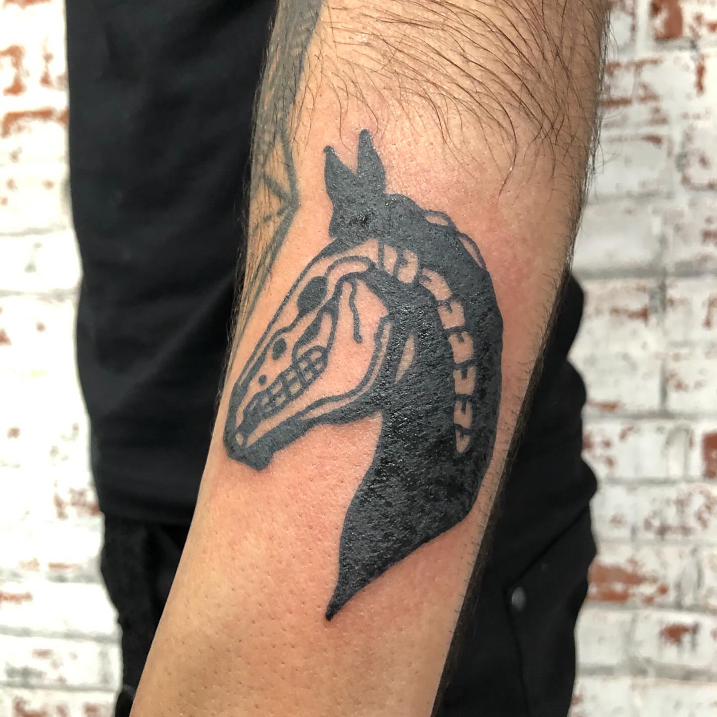 Horse skull black and grey tattoo on the forearm by ππππππππ