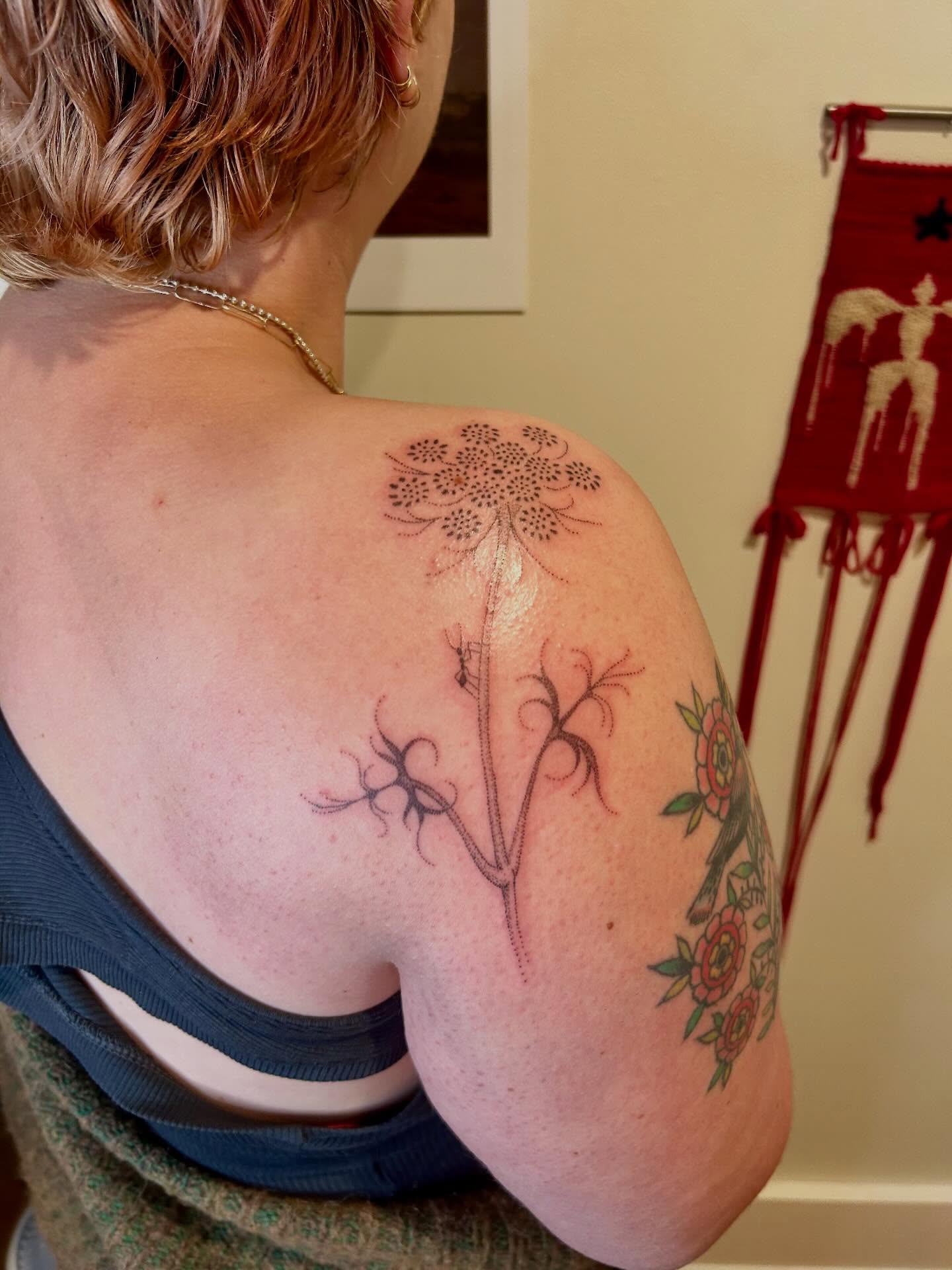 Dandelion dotwork tattoo on the shoulder by Nicolette