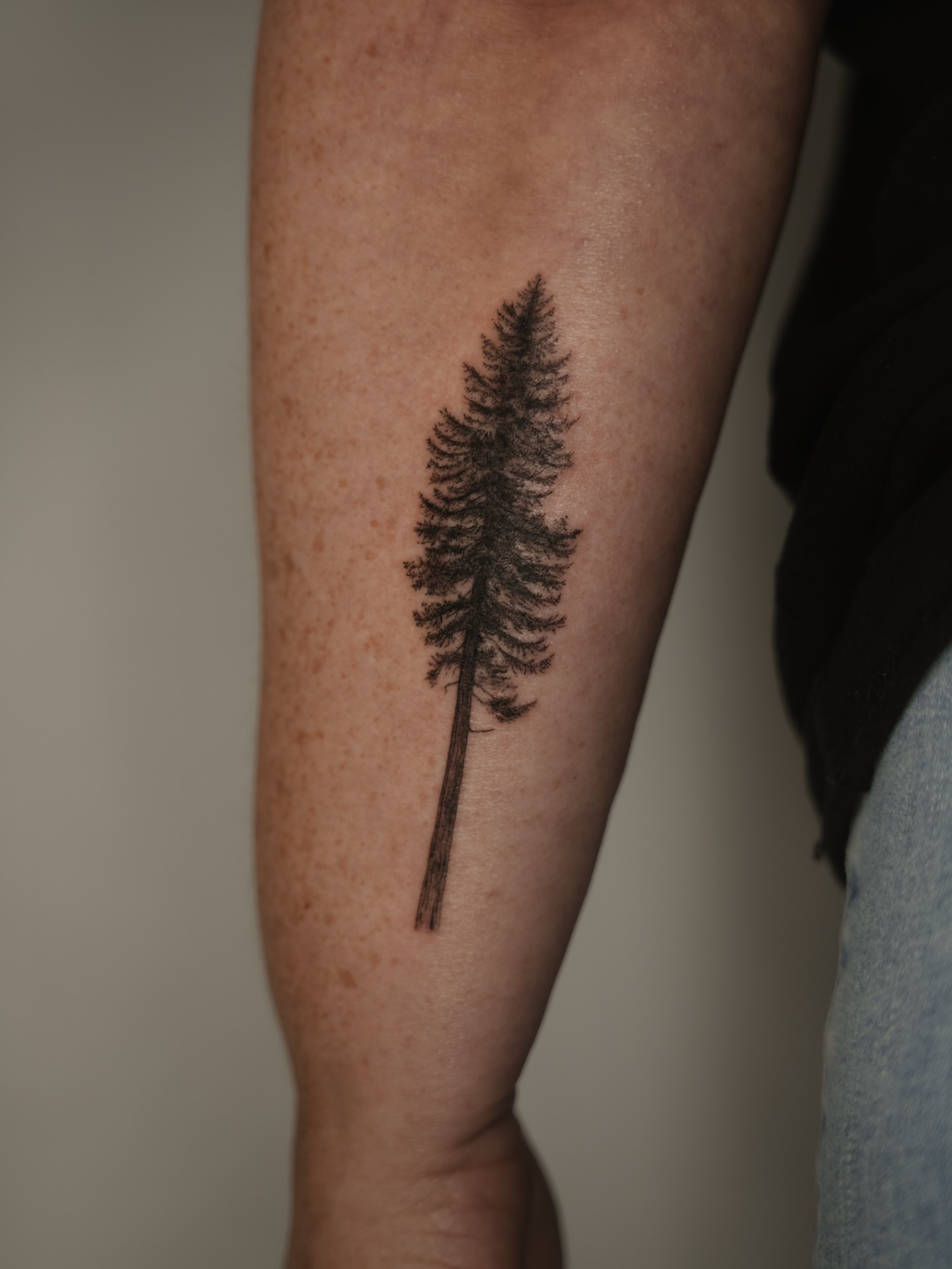 Pine tree black and grey tattoo on the forearm by Laura Gomez Tattoos