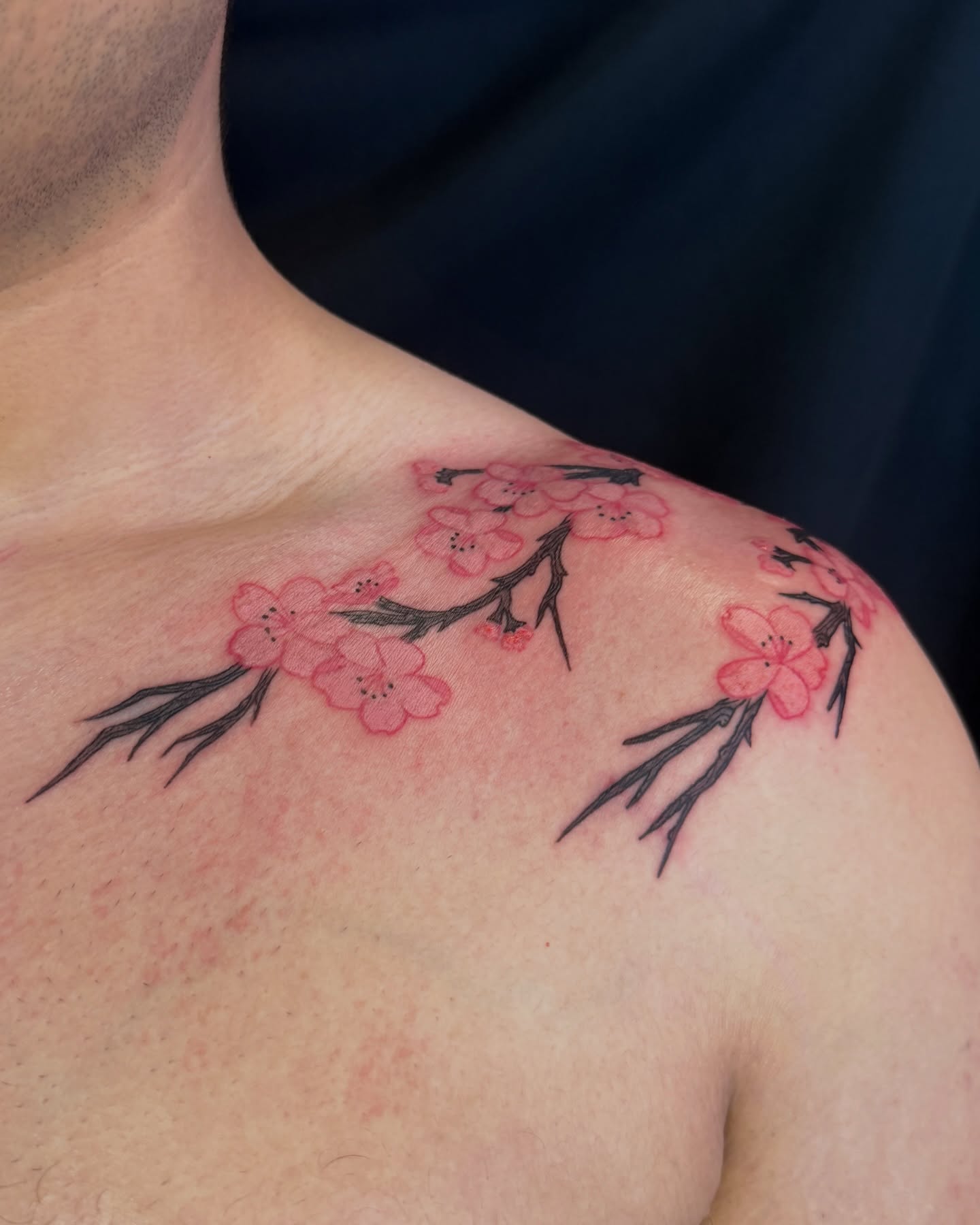 Cherry blossoms dotwork tattoo on the shoulder by Kevin, Las Vegas, Nevada