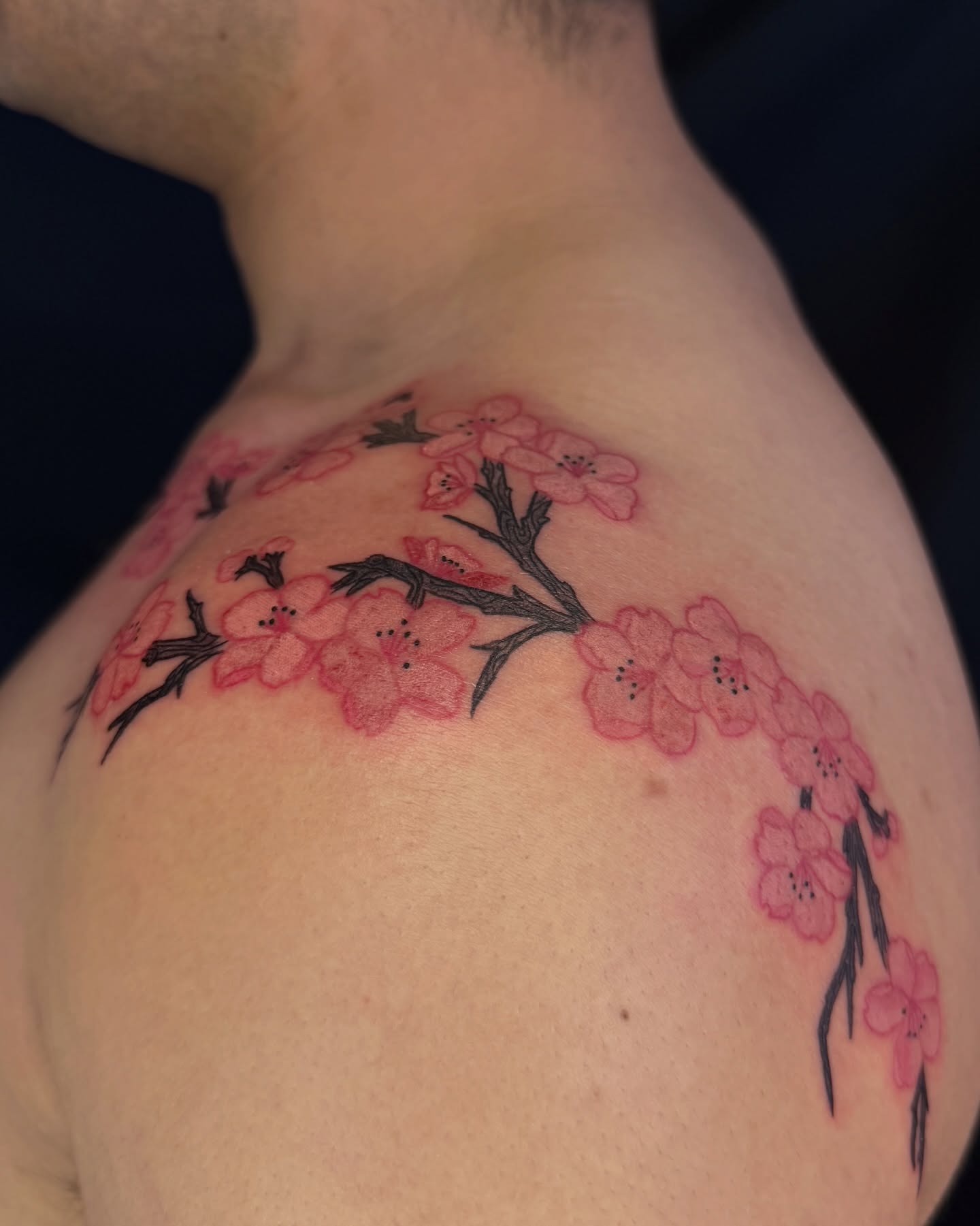 Cherry blossoms dotwork tattoo on the shoulder by Kevin, Las Vegas, Nevada