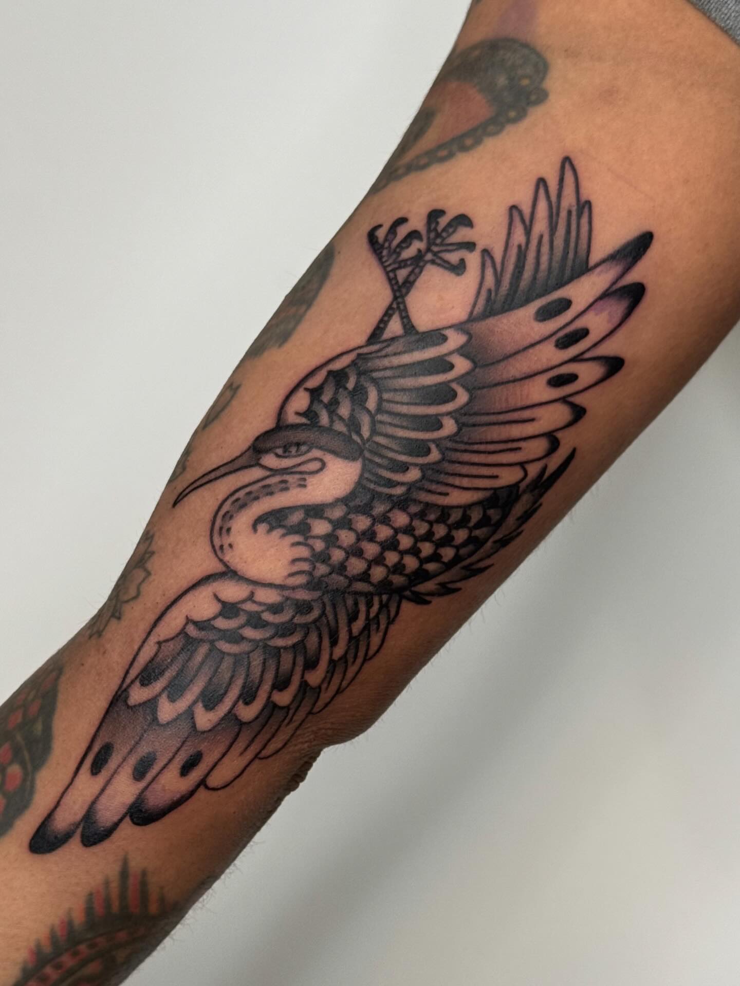 Bird American traditional tattoo on the forearm by Jacqui Rose