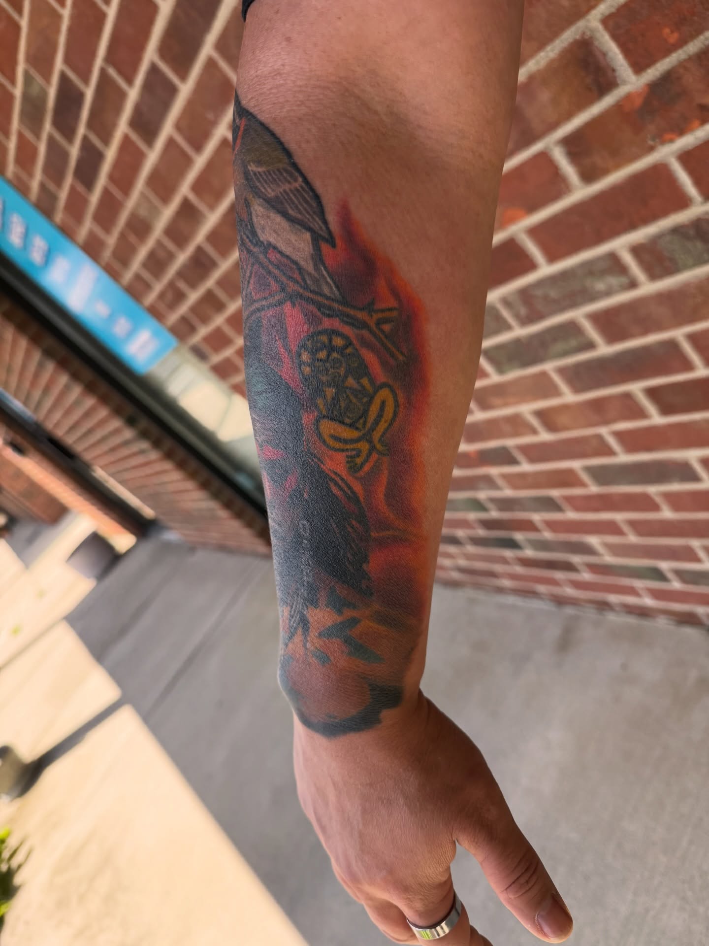 Bird and snake American traditional tattoo on the forearm by Ignacio José Sweeney Rolón Bas Santa Cruz