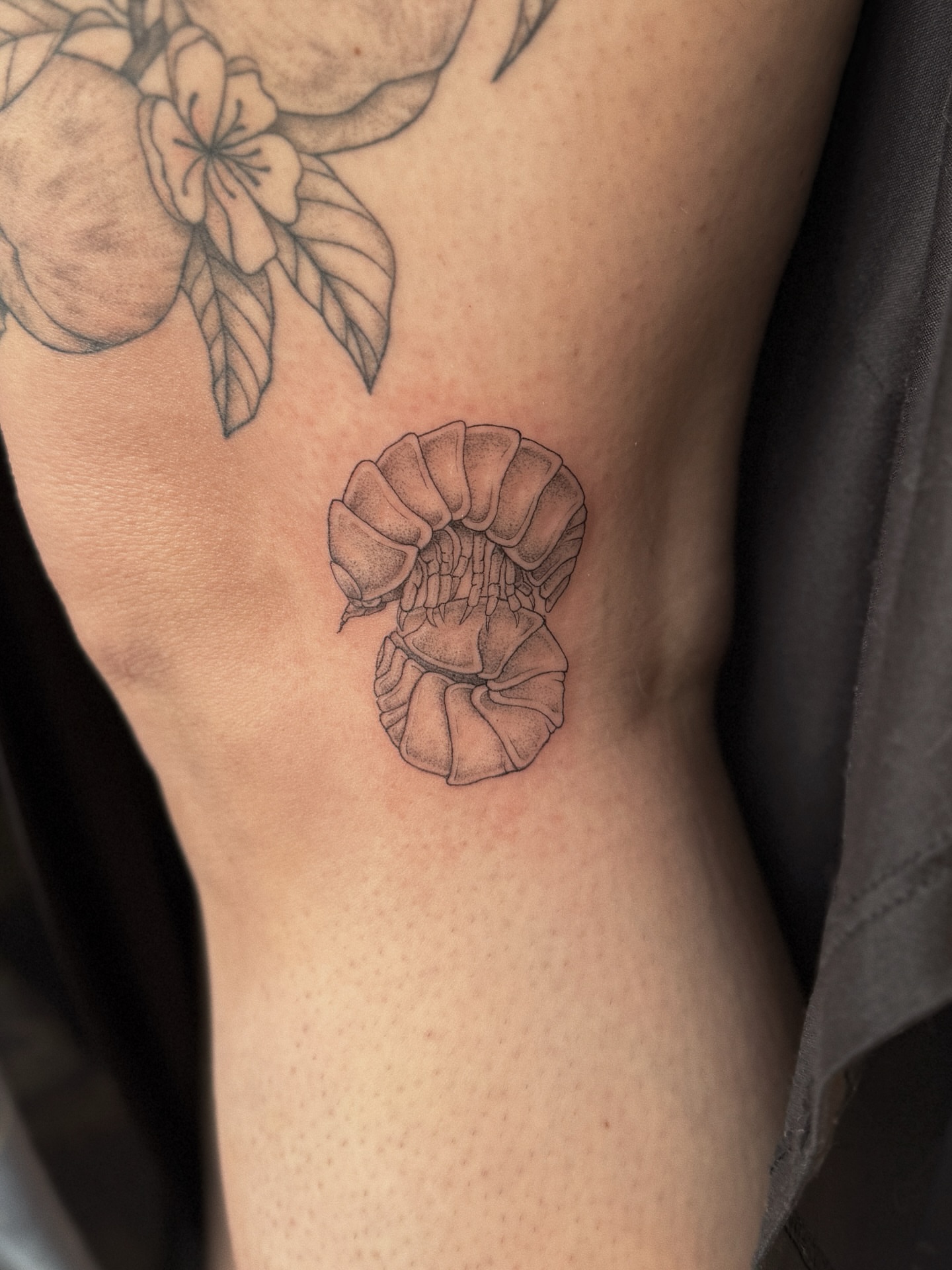 Flower black and grey tattoo on the thigh by 𝕵𝖊𝖘𝖘𝖎𝖈𝖆 𝕰𝖑 (raleigh tattoo artist)