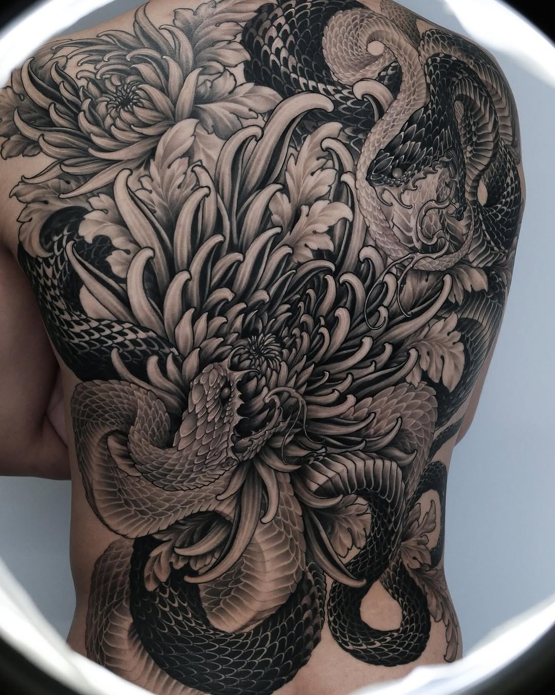 Snakes and chrysanthemums Japanese tattoo on the back by Yujin Ju