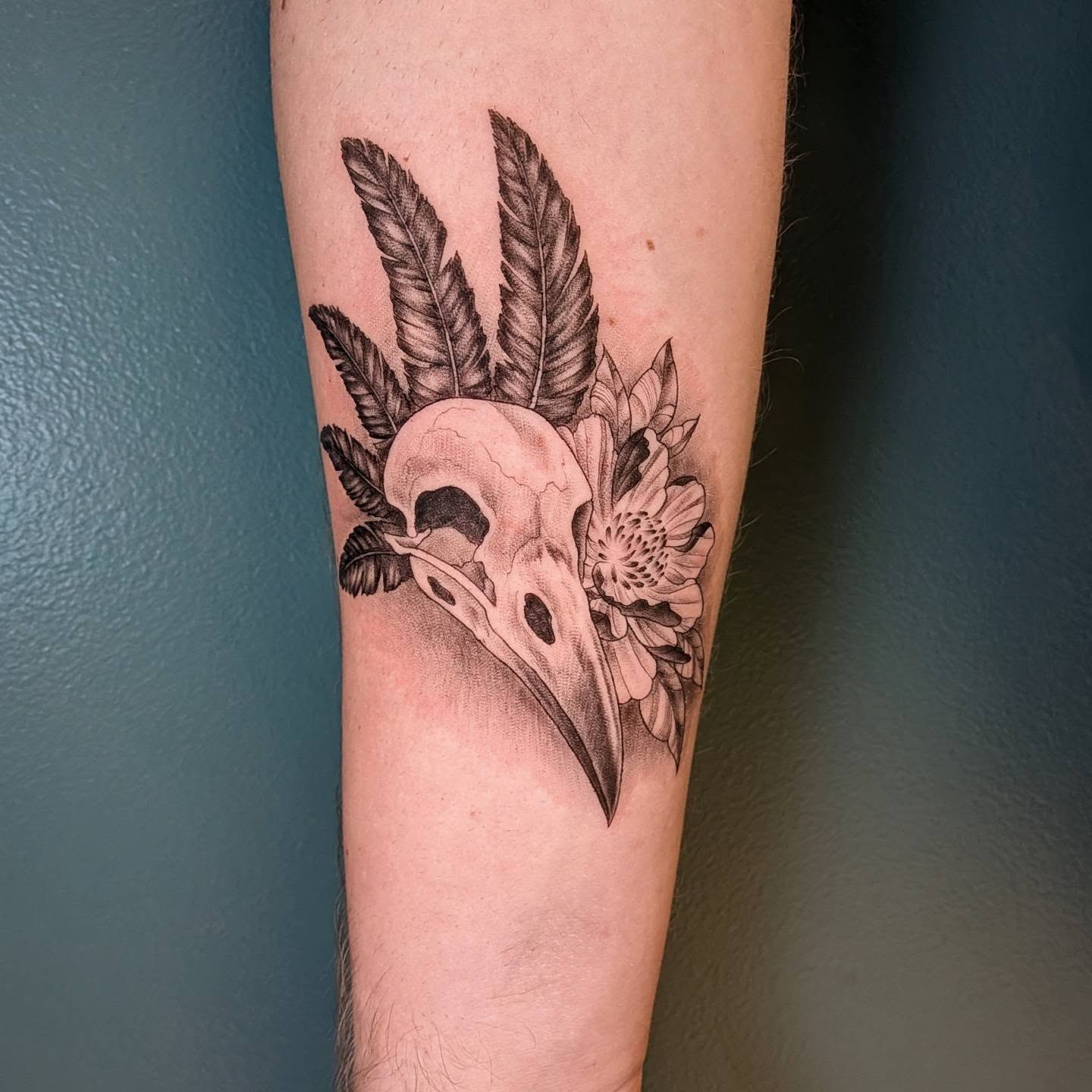 Bird skull with feathers and flowers realism tattoo on the forearm by L U C y, Knoxville, Tennessee