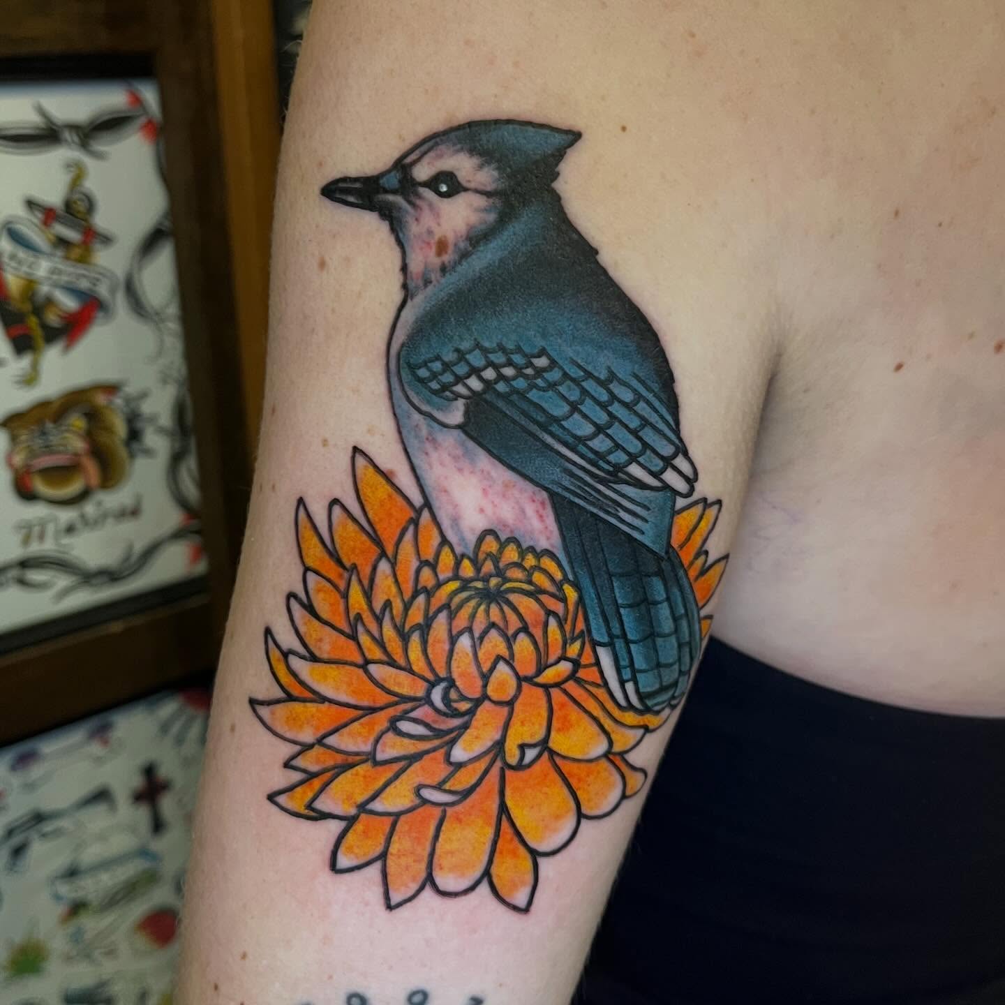Blue jay and chrysanthemum American traditional tattoo on the forearm by CJ Ligocki - Ferndale Detroit Michigan Tattoo, Ferndale, Michigan