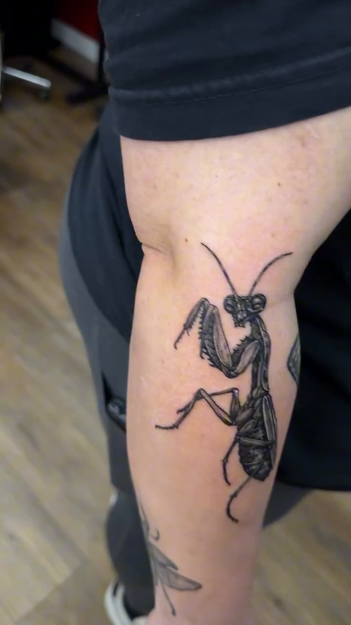 Praying mantis tattoo fine line tattoo on the leg by TC 🧚🏽, Columbus, OH