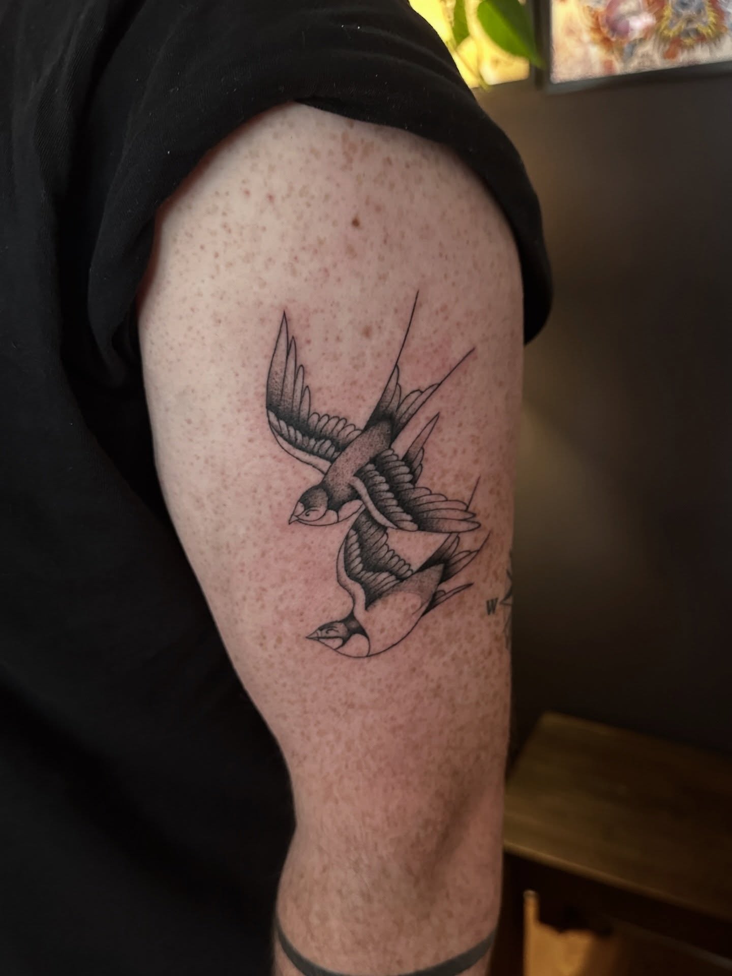 Swallows black and grey tattoo on the forearm by Matt Kearney