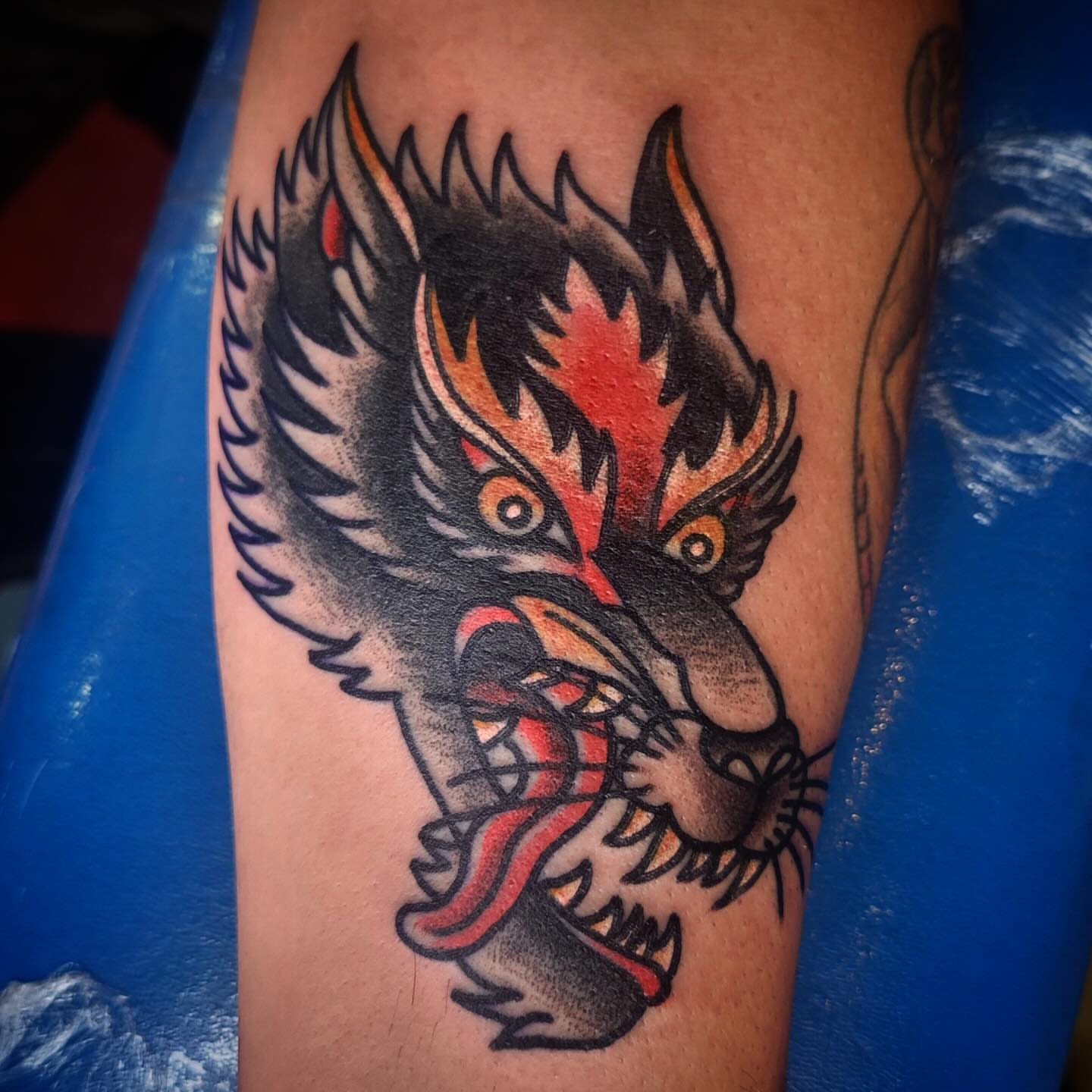Wolf American traditional tattoo on the forearm by joe martinez, Denver, Colorado