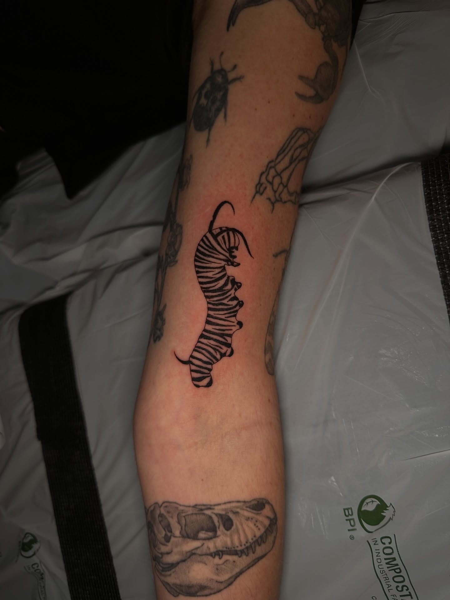 Zebra black and grey tattoo on the forearm by Yassin alsaje