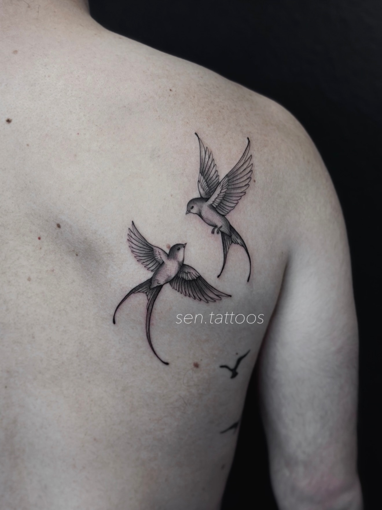 Swallows black and grey tattoo on the shoulder by Sen Tattooer