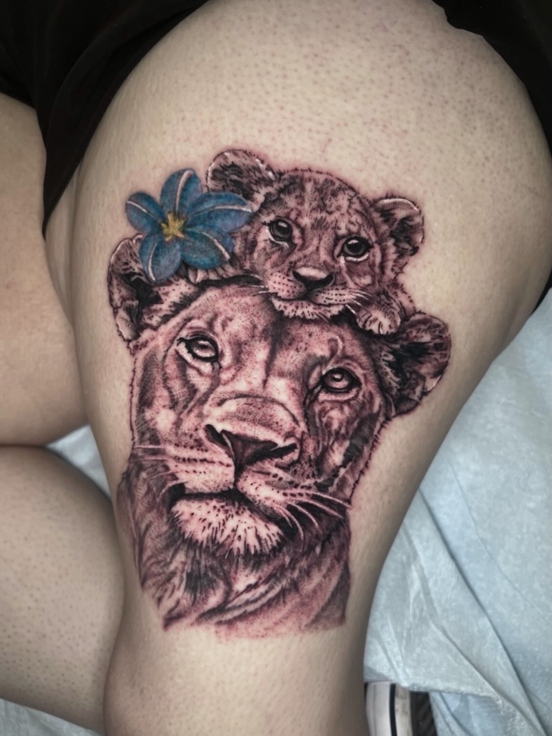 Lioness and cub realism tattoo on the thigh by ππππππ ππππππ - ππππ‘ππ₯ ππ¨π₯π’πππ«π’π¨π¬ π΅π