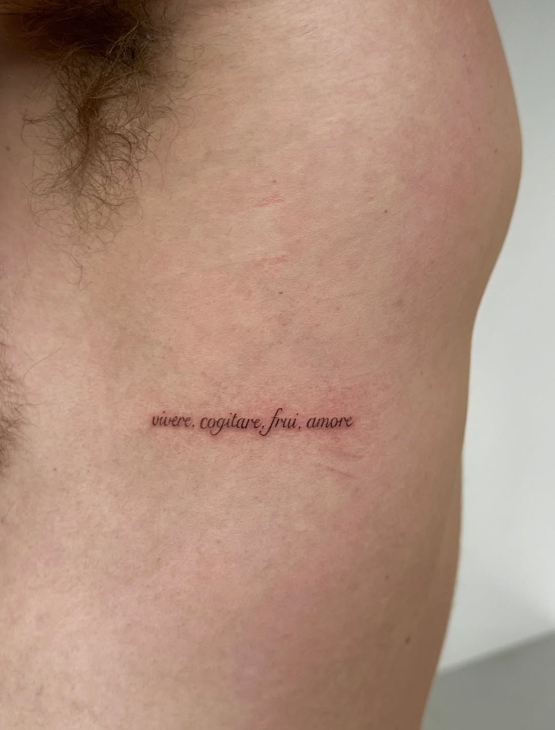 Latin phrase lettering tattoo on the chest by @taravychi