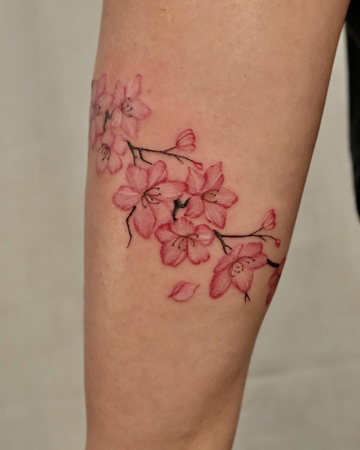 Cherry blossoms watercolor tattoo on the forearm by Koko