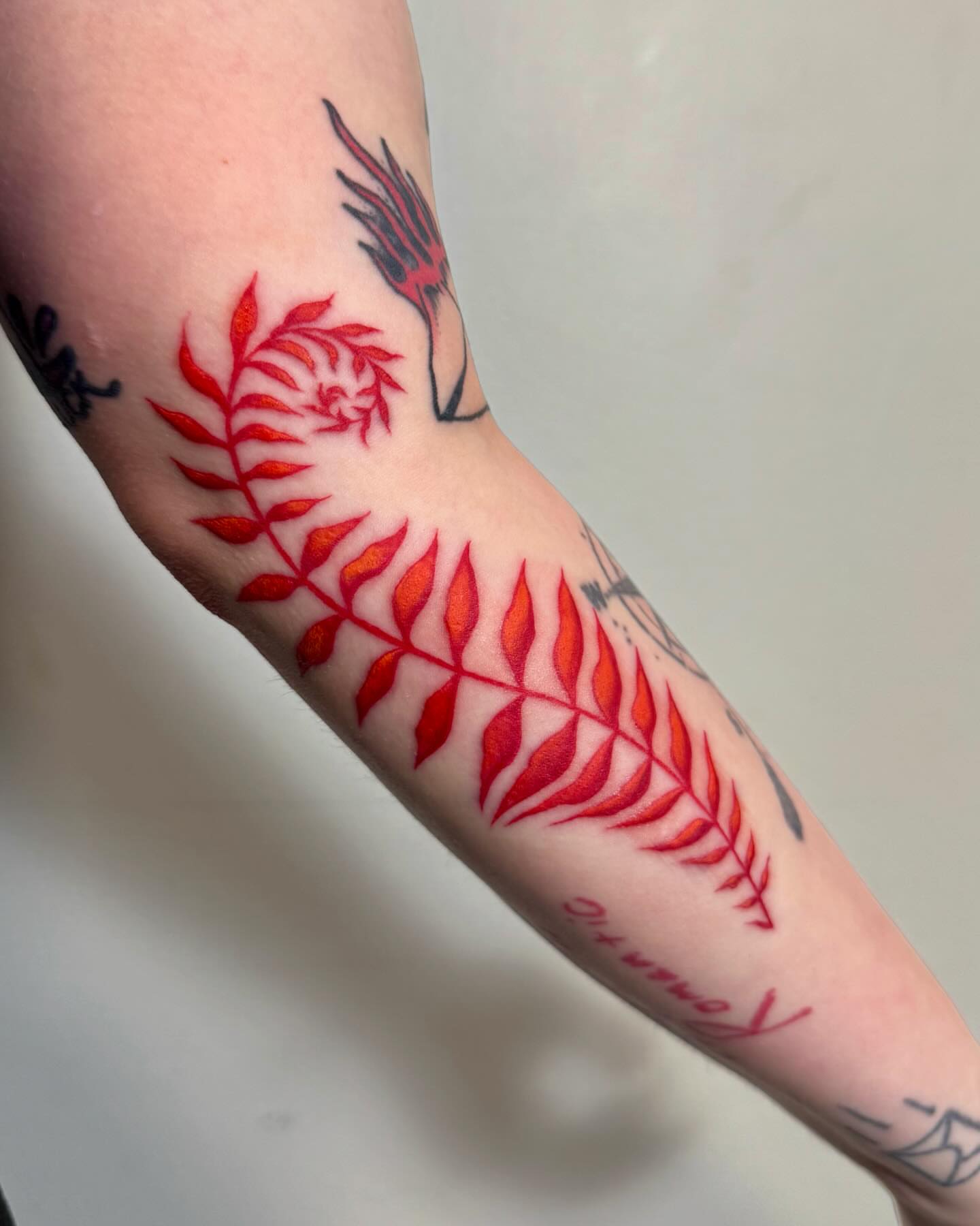 Tattoo by @apogee_tattoo — neo_traditional