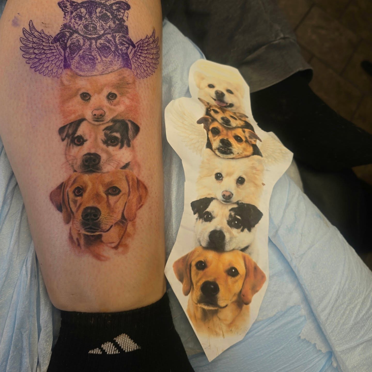Dogs realism tattoo on the forearm by Anna Brittany
