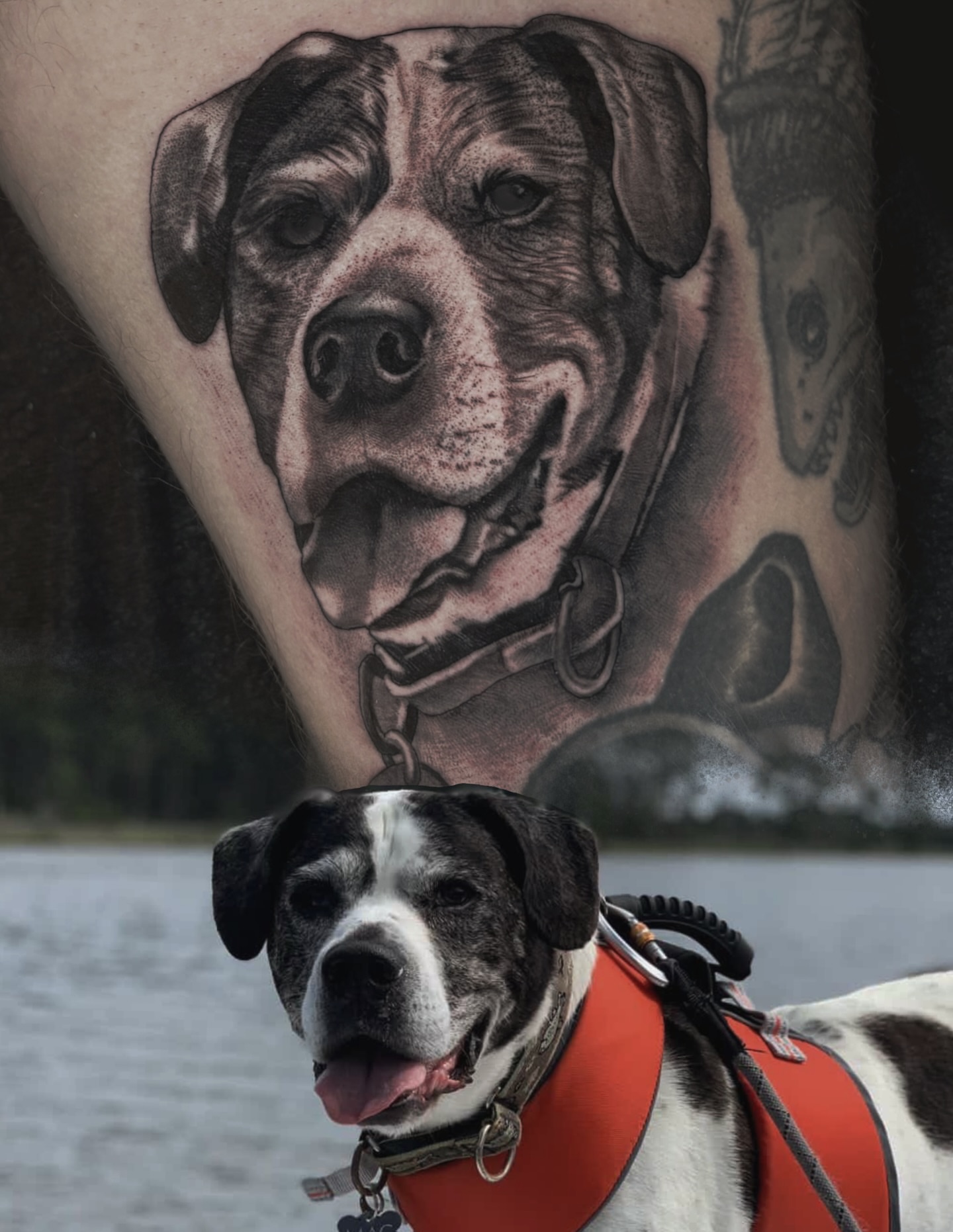 Tattoo by @tonyluceroart — realism