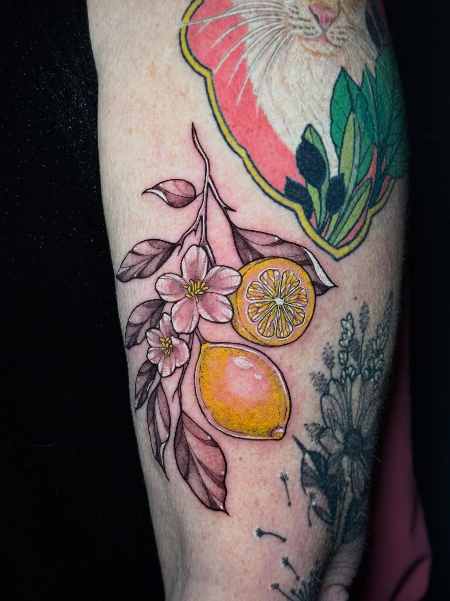 Citrus and flowers new school tattoo on the forearm by Andreanna Rosemarie Gabranidis, Pennsauken, New Jersey