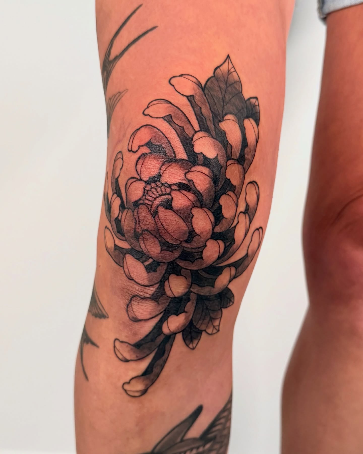 Chrysanthemum black and grey tattoo on the forearm by binh