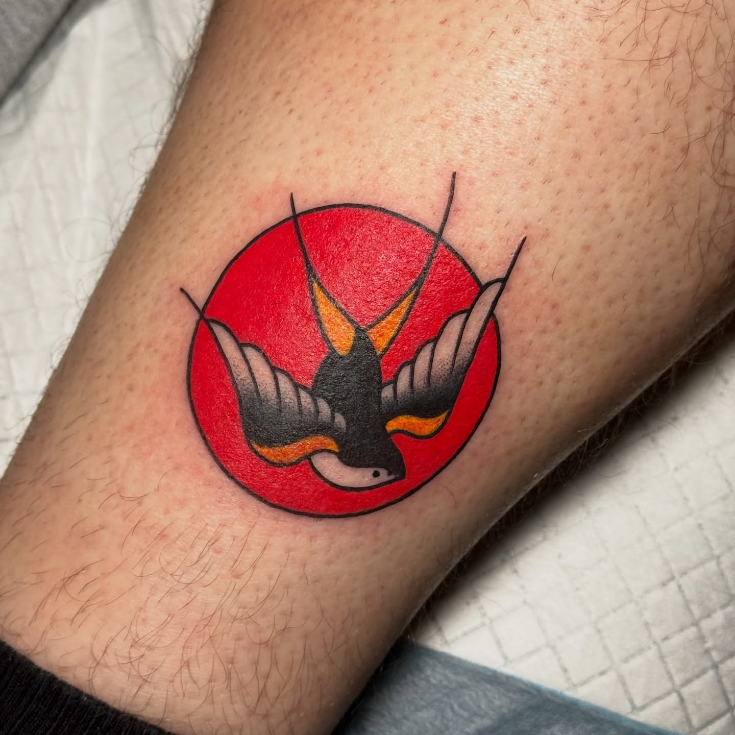 Swallow American traditional tattoo on the forearm by Matthew - Tattoo Artist