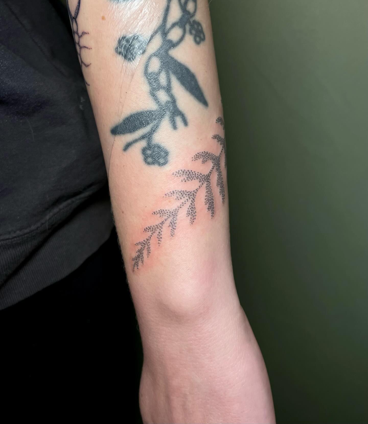 Branch with leaves dotwork tattoo on the forearm by Quin
