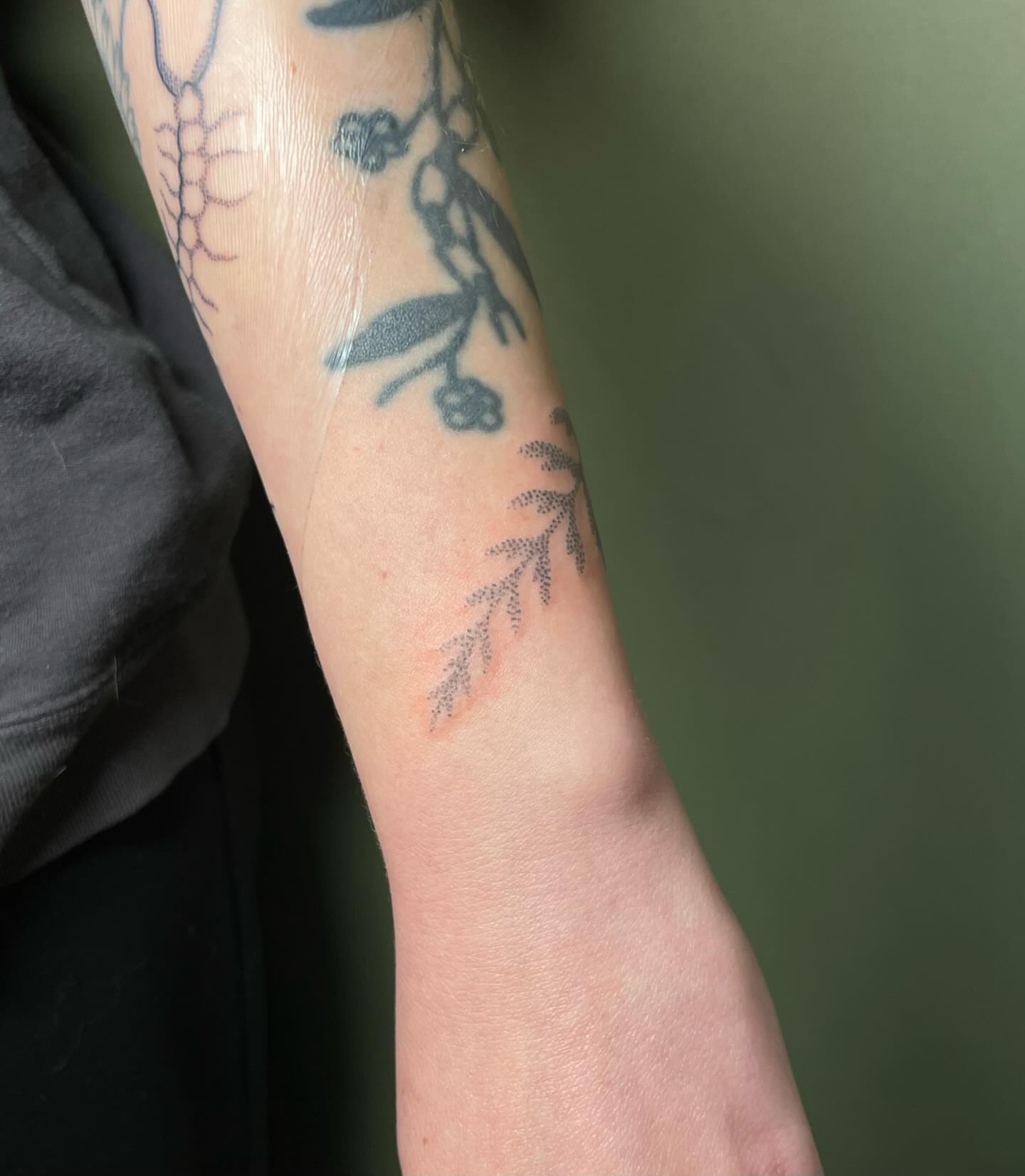 Botanical dotwork tattoo on the forearm by Quin