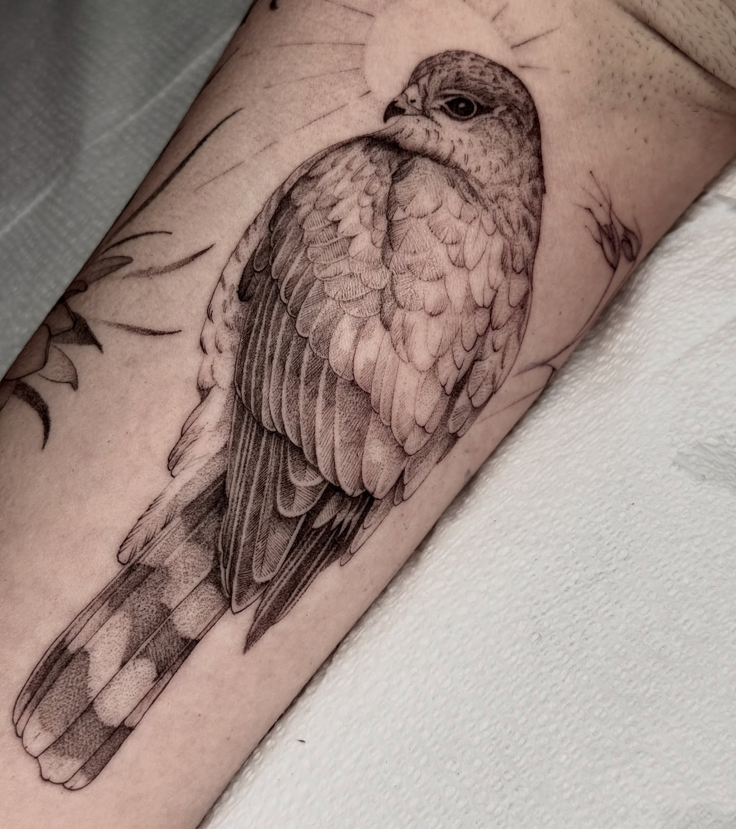 Hawk realism tattoo on the forearm by Molly Murray