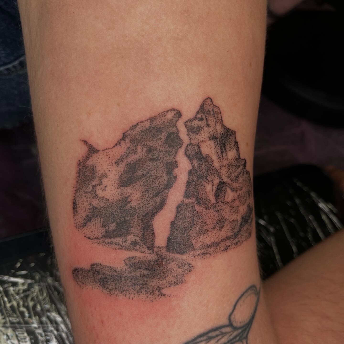 Waterfall dotwork tattoo on the forearm by ⁎⁺˳✧༚Emma