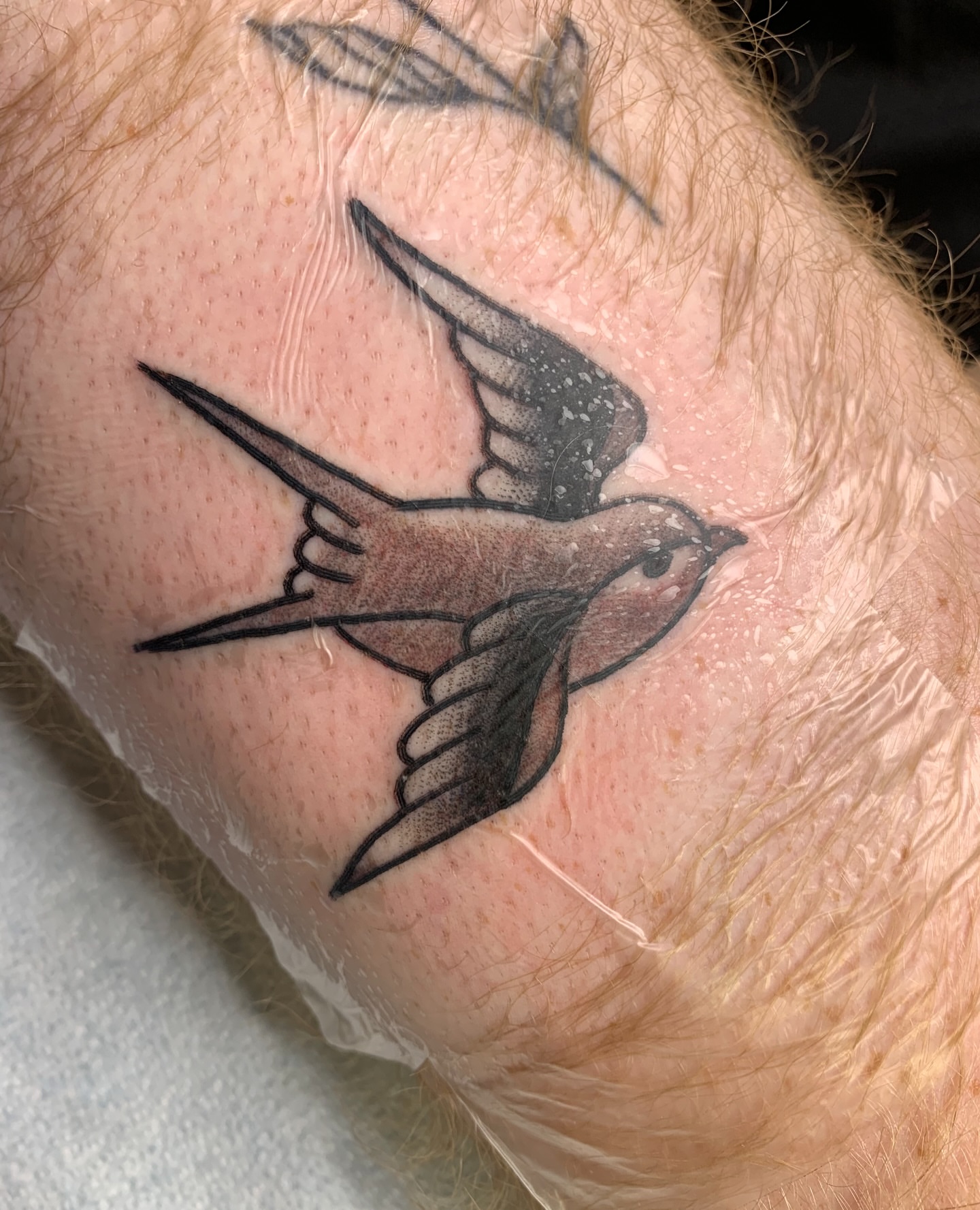 Swallow American traditional tattoo on the forearm by Destroy Troy