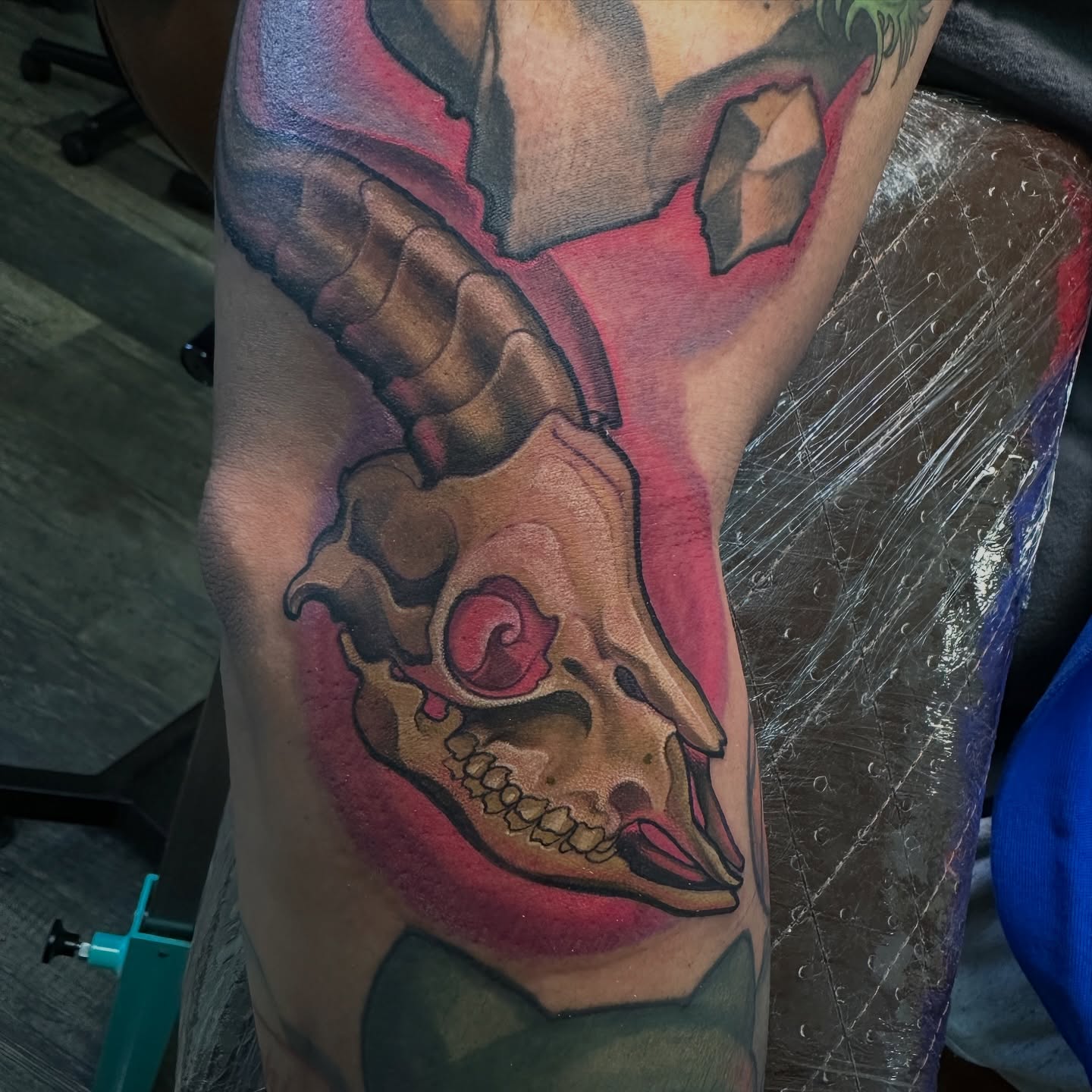 Skull realism tattoo on the forearm by John Tarrao, Berwyn, Pennsylvania