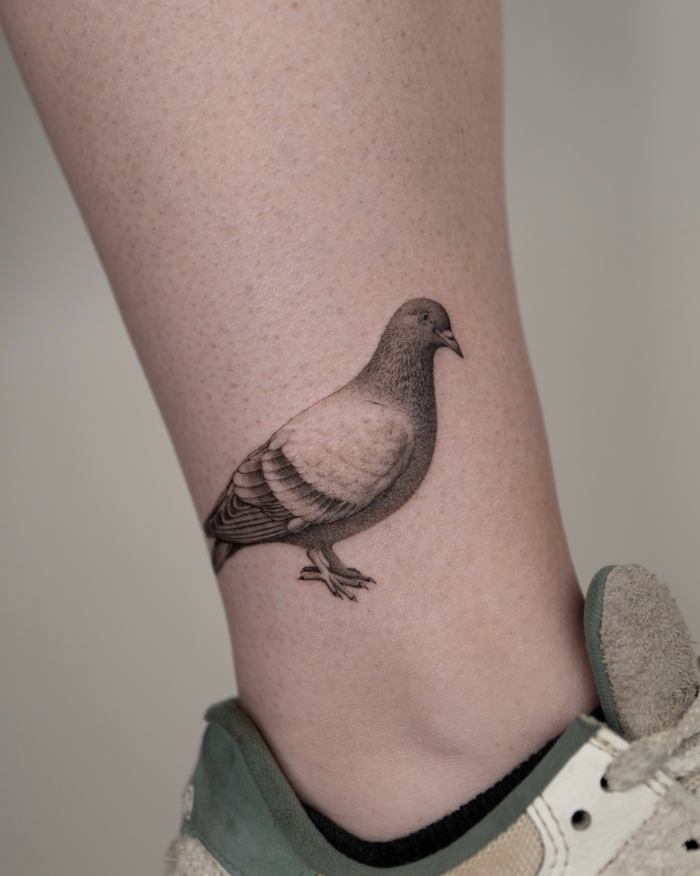 Pigeon realism tattoo on the forearm by t y, t a t t o o a r t i s t