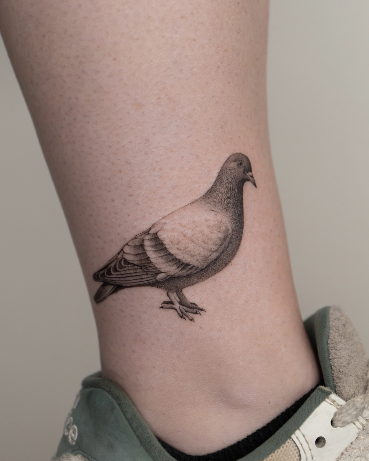 Pigeon realism tattoo on the forearm by t y, t a t t o o a r t i s t