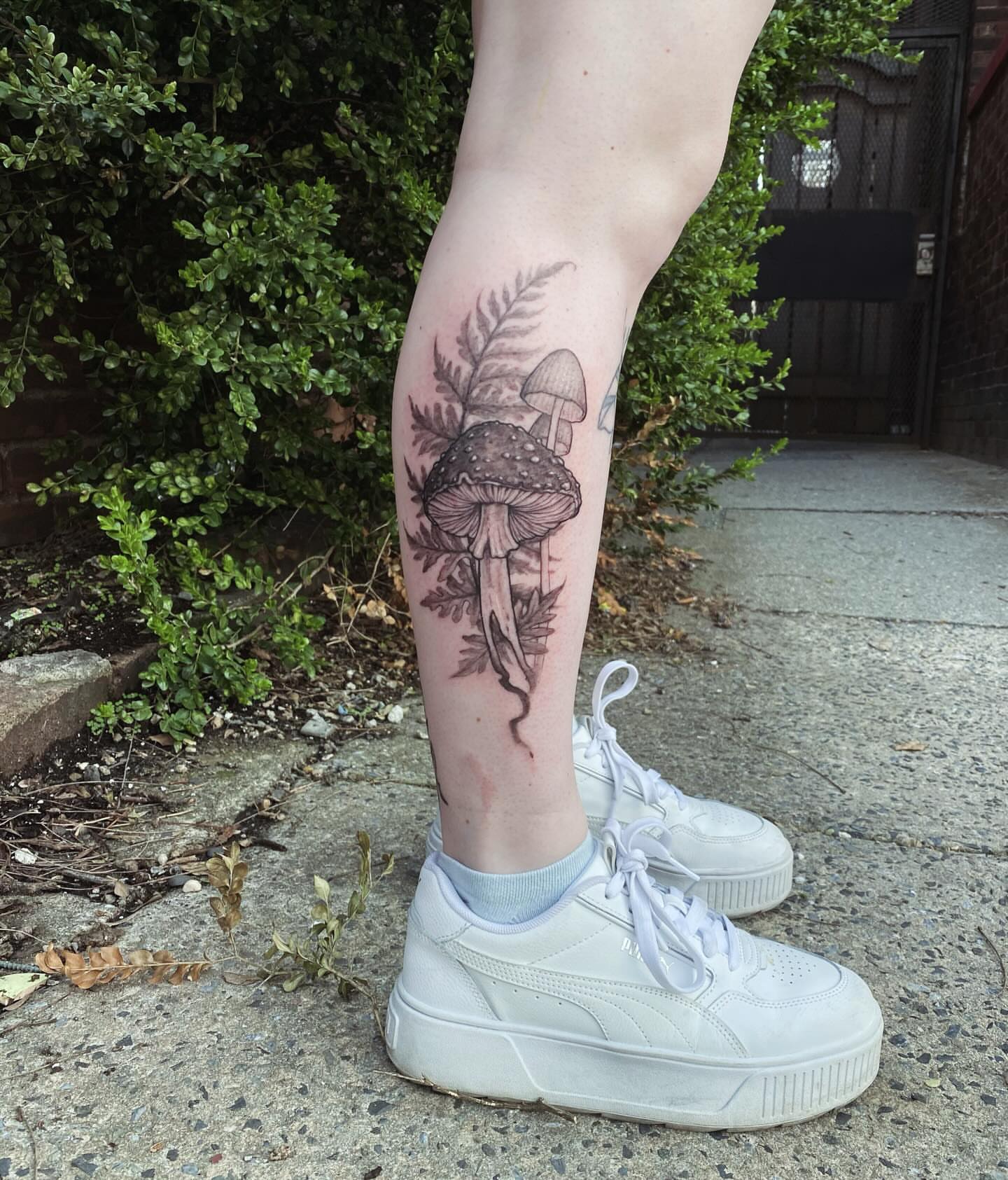 Mushroom and fern black and grey tattoo on the calf by Dana Jones