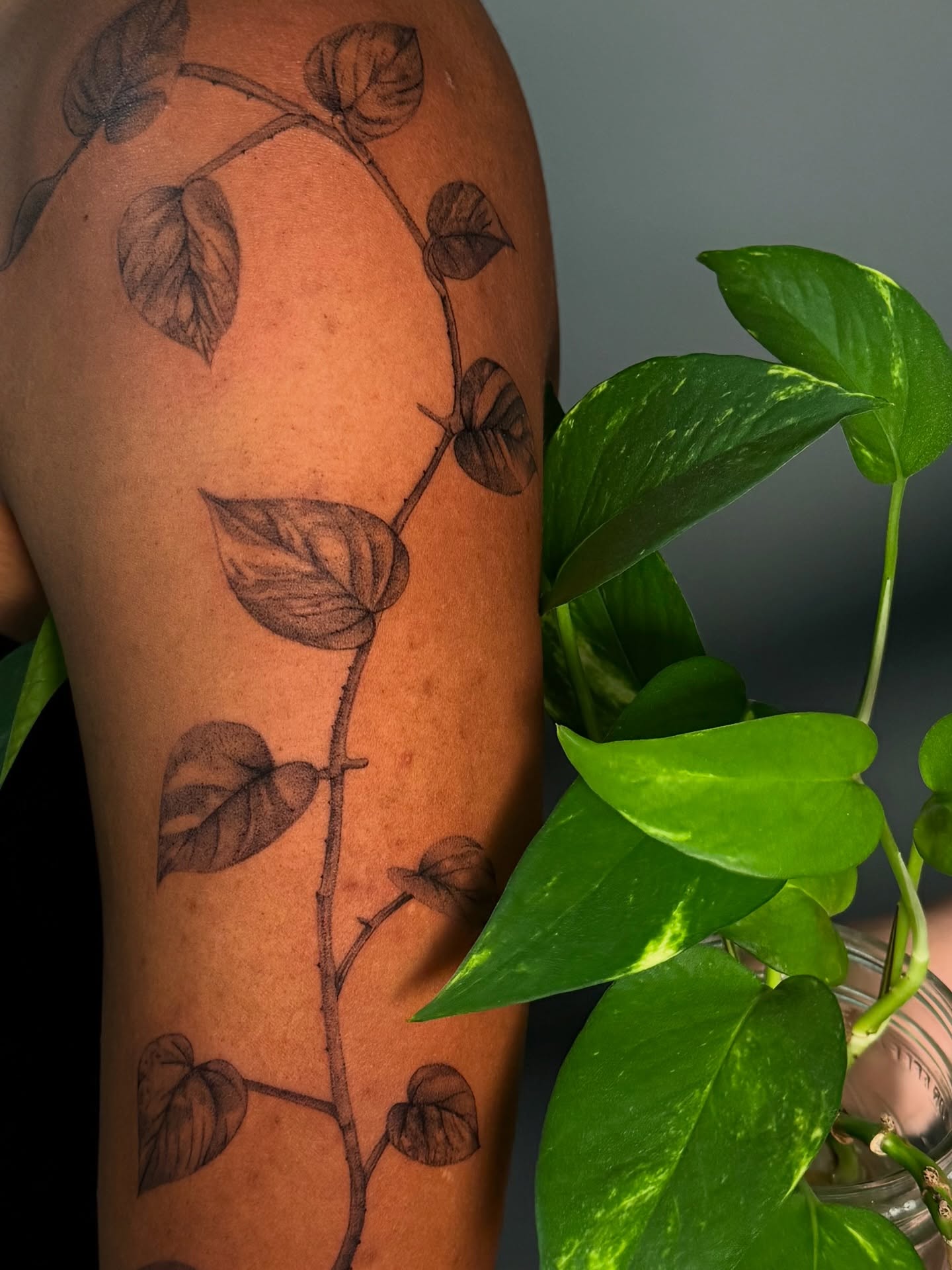 Plant vine black and grey tattoo on the upper arm by jaz🌀