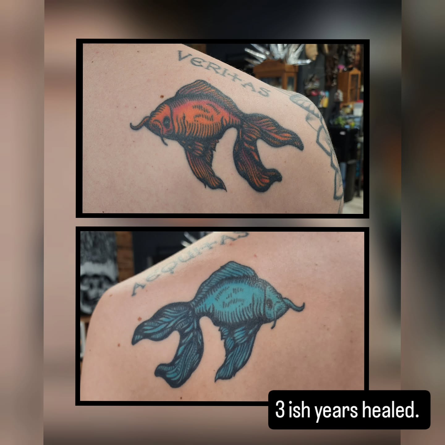 Goldfish American traditional tattoo on the shoulder by Trista Bettfreund (Birdy)