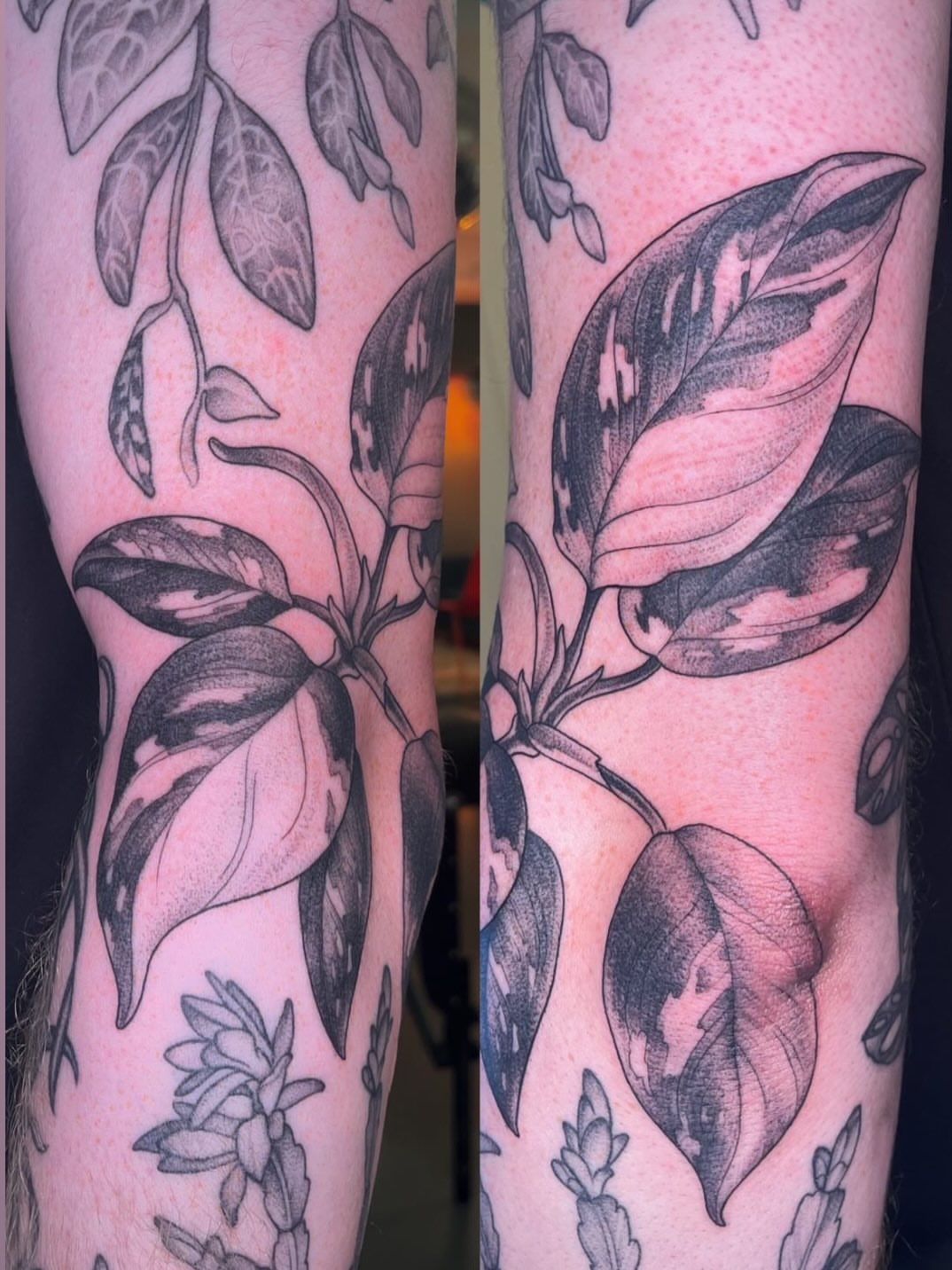 Plant leaves black and grey tattoo on the forearm by Emi Collison