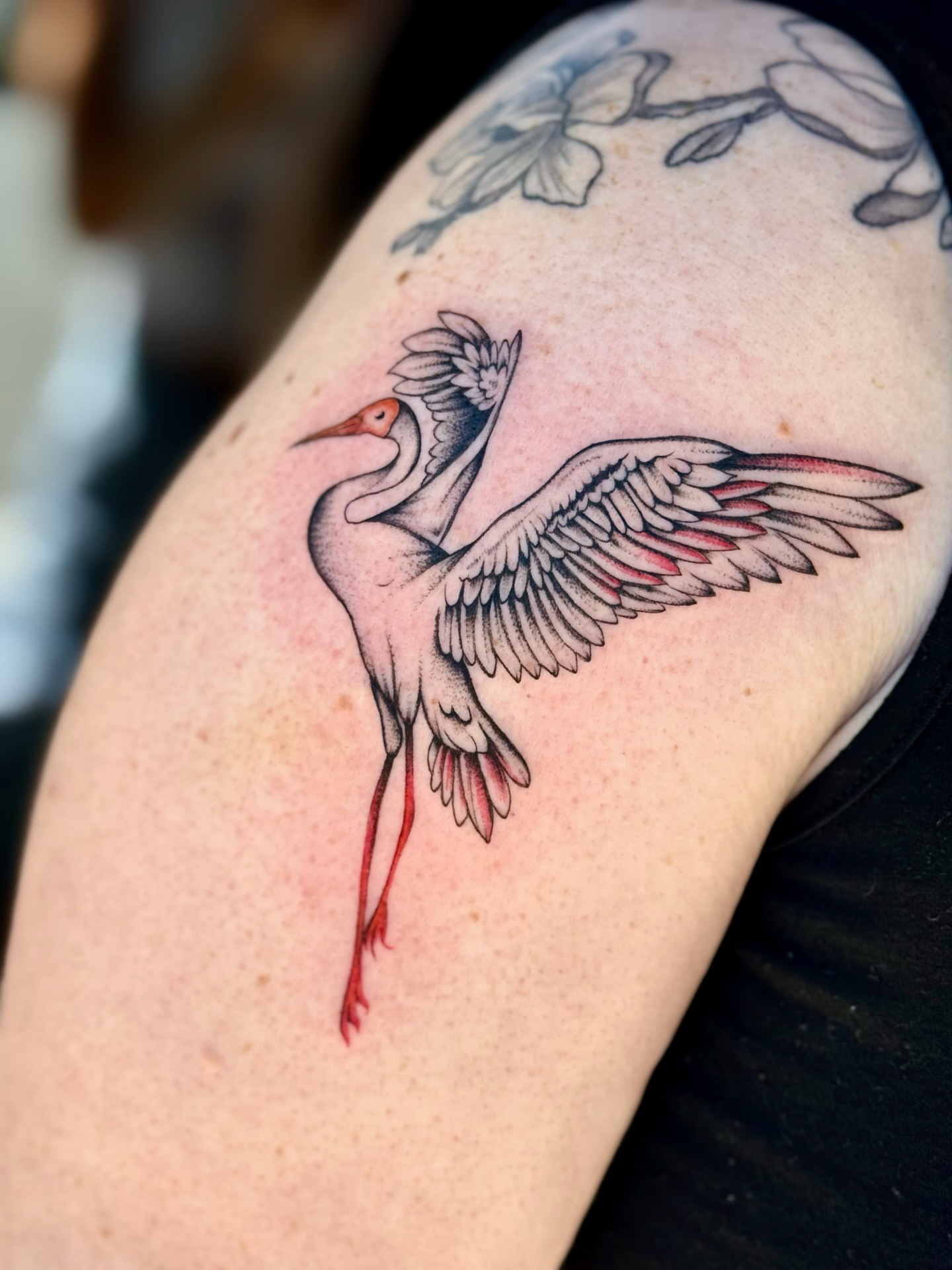 Crane realism tattoo on the upper arm by Emily Velletta, Huntersville, North Carolina