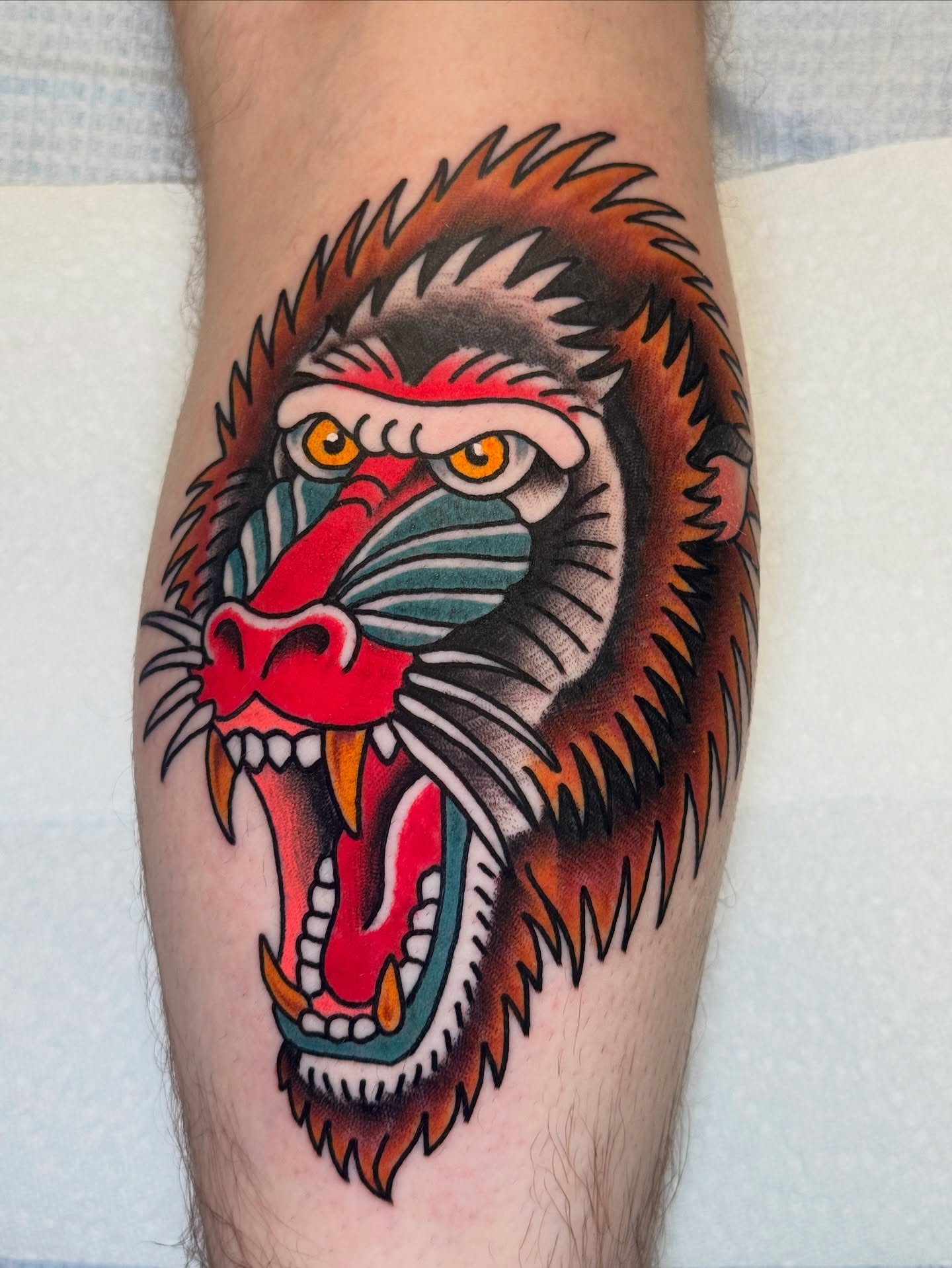 Angry monkey American traditional tattoo on the forearm by Kenneth Gibson
