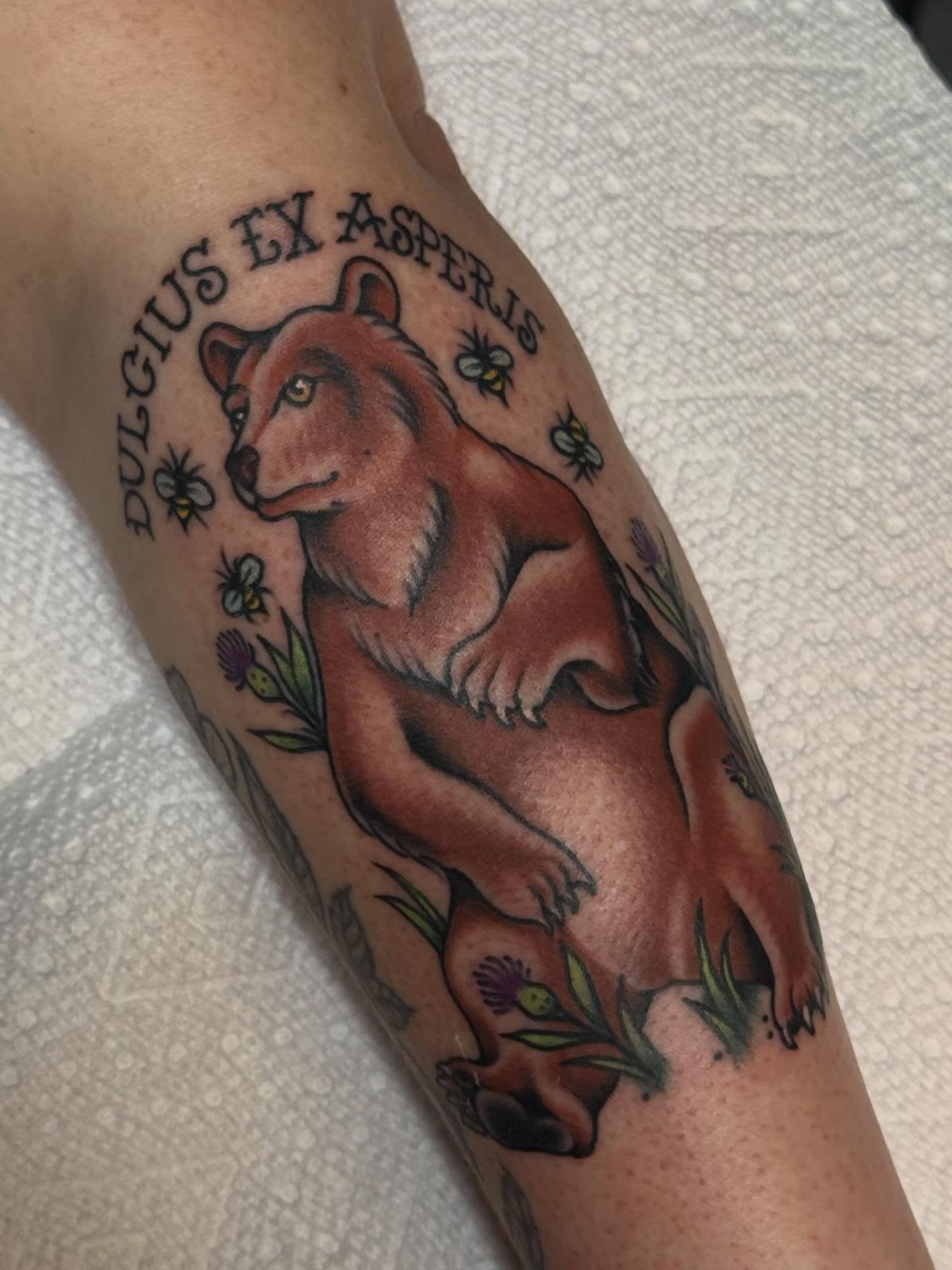 Bear American traditional tattoo on the forearm by Painted Peach Tattooer