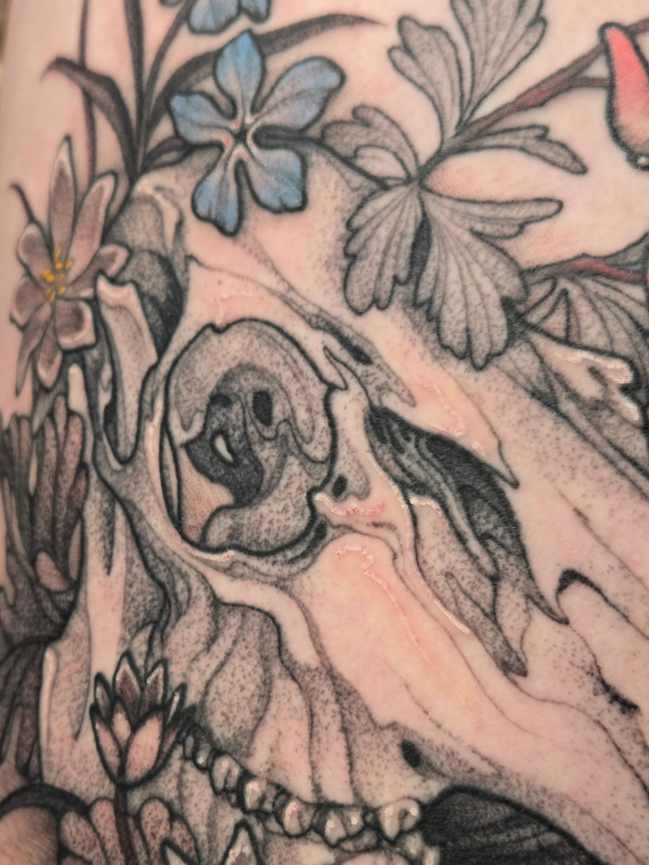 Skull and flowers dotwork tattoo on the forearm by ◇  Kristyn Kay  ◇ Tattoo Warlock, Des Moines, Iowa