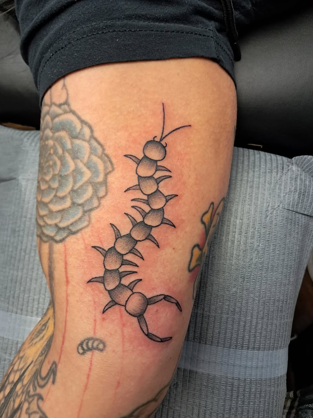 Tattoo by @misstrish777 — black_and_grey, dotwork