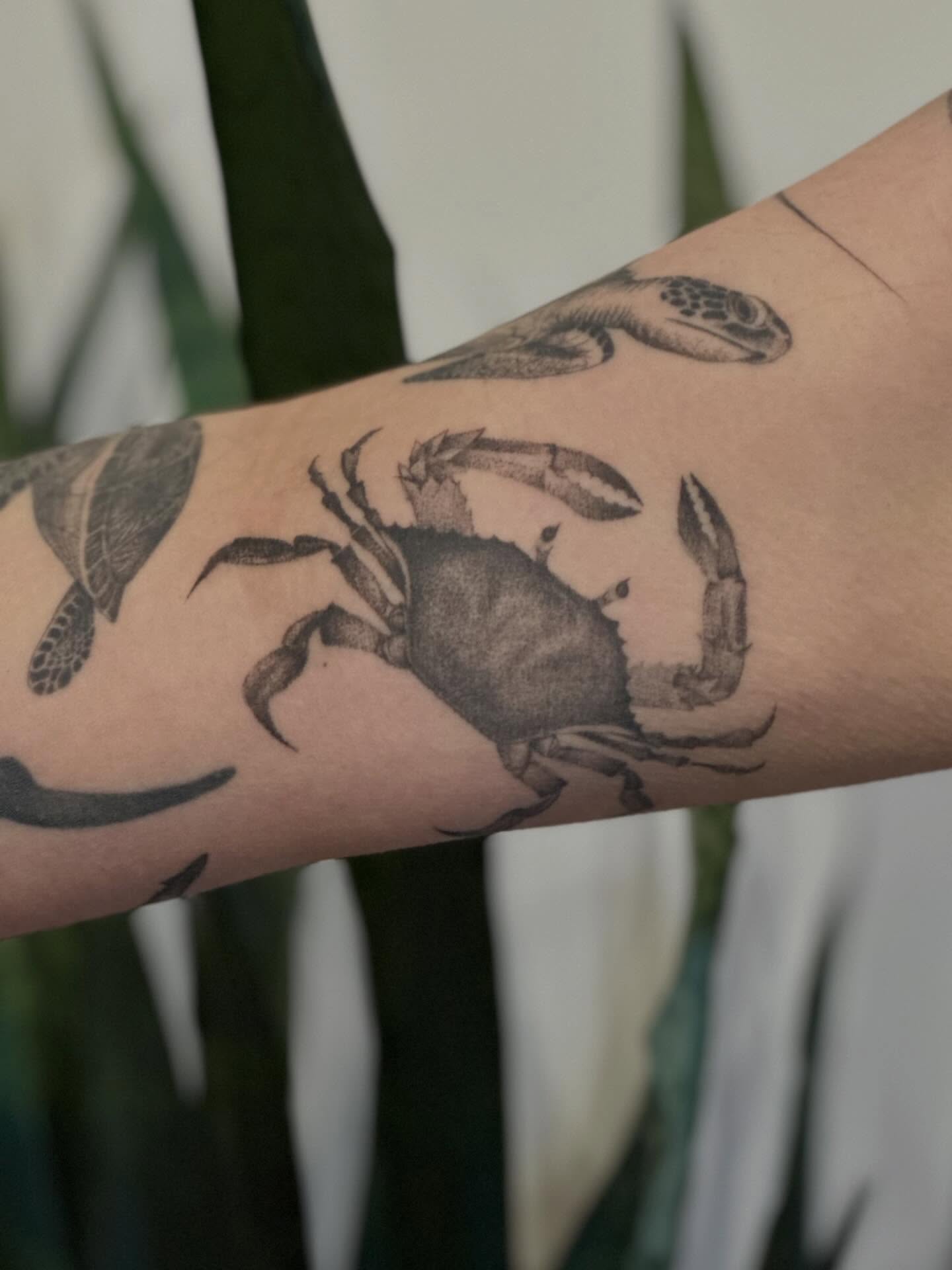 Crab dotwork tattoo on the forearm by sara scak, Lakewood, Ohio