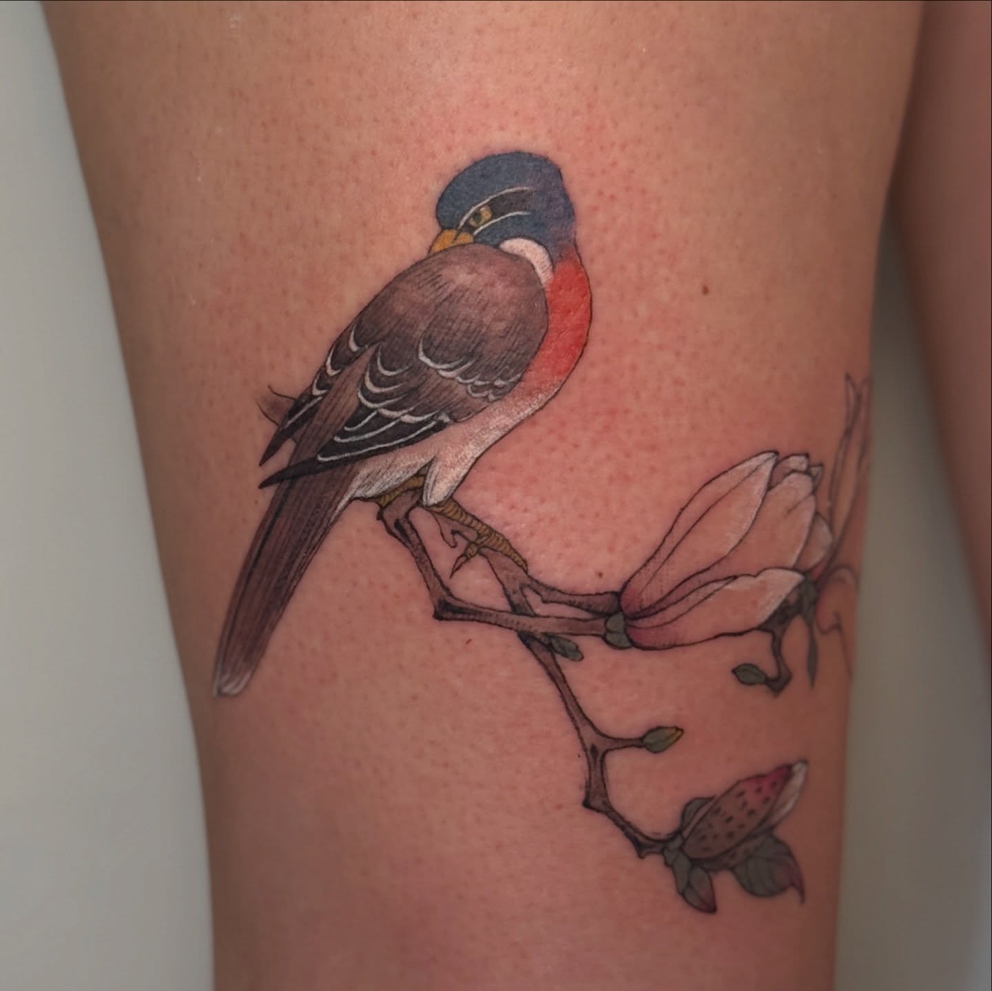 Bird and magnolia realism tattoo on the thigh by ink by kimmy ☾⋆⁺₊⋆